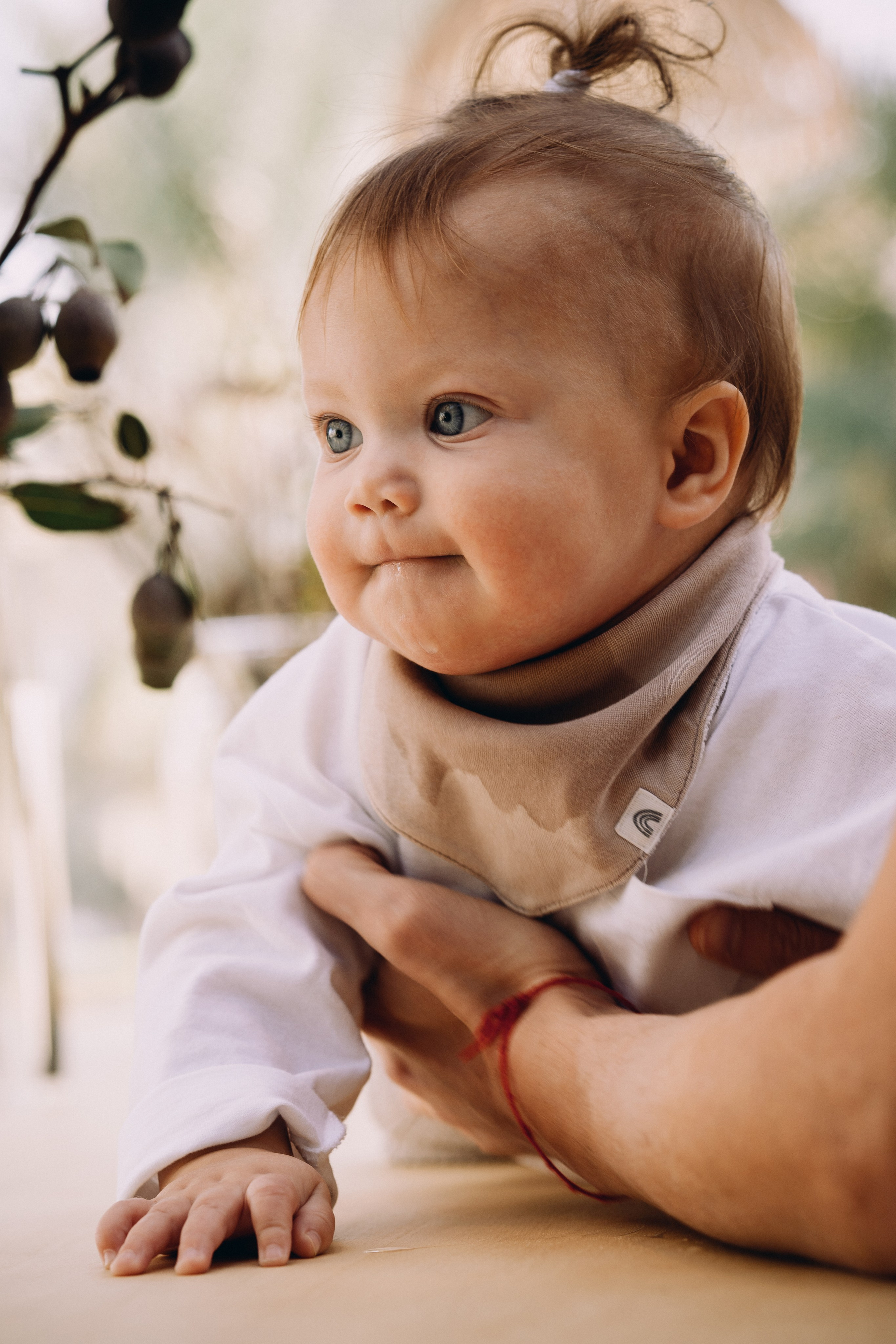 Saturday Morning Sun. Elena Pretzner Photography