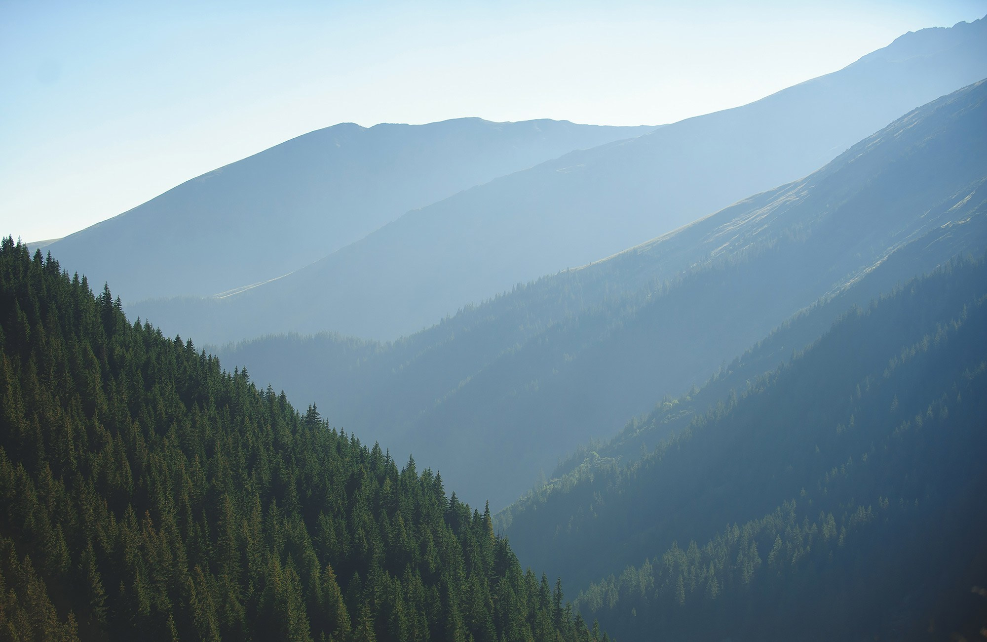 Romania. Imagini frumoase din Romania - fotograf travel Andrei Zveaghintev. Fotograf nunta si familie in Moldova, Chisinau - Andrei Zveaghintev