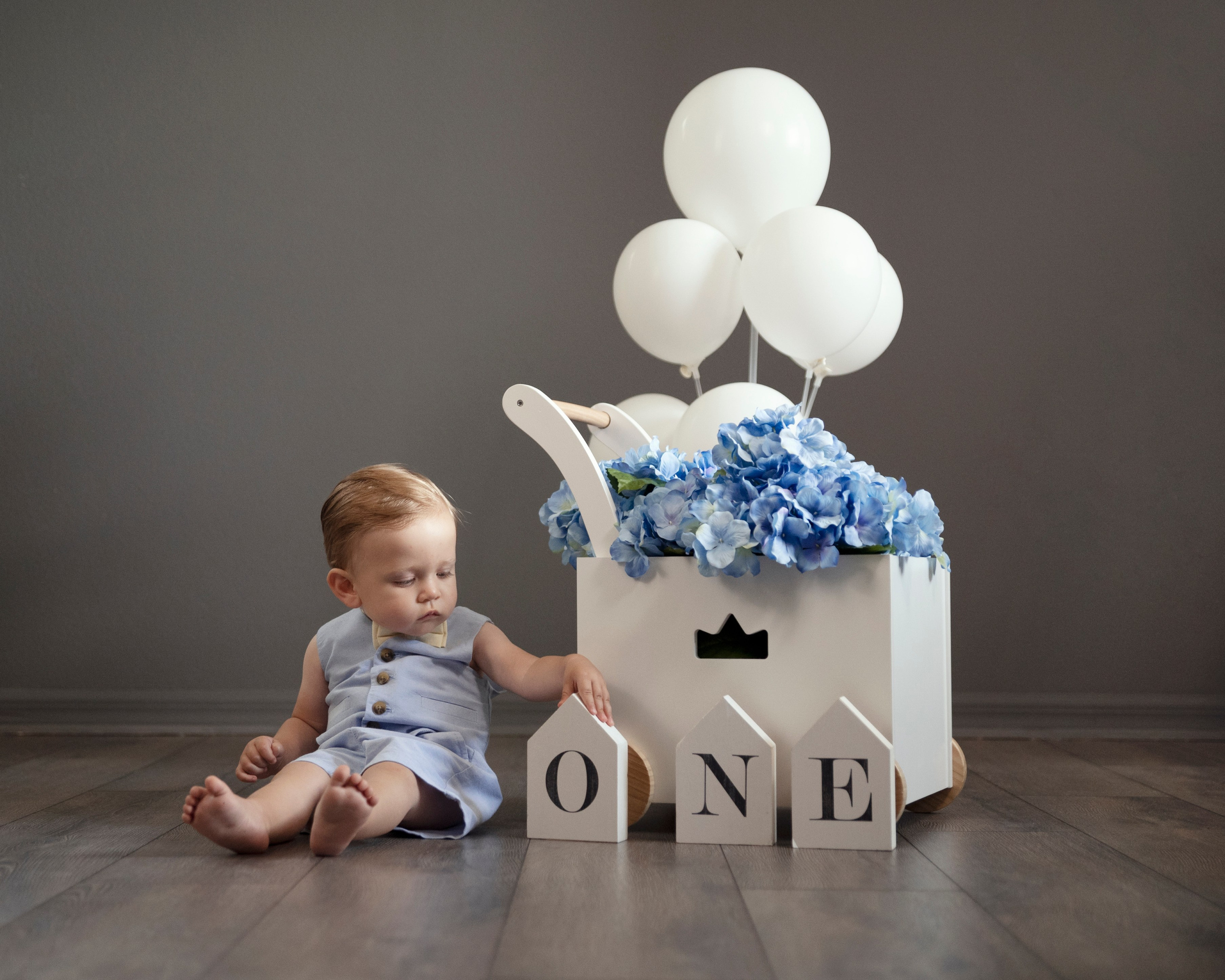 ONE year baby boy. Portrait, kids and family photographer in Wesley Chapel Alina Alice Osipova