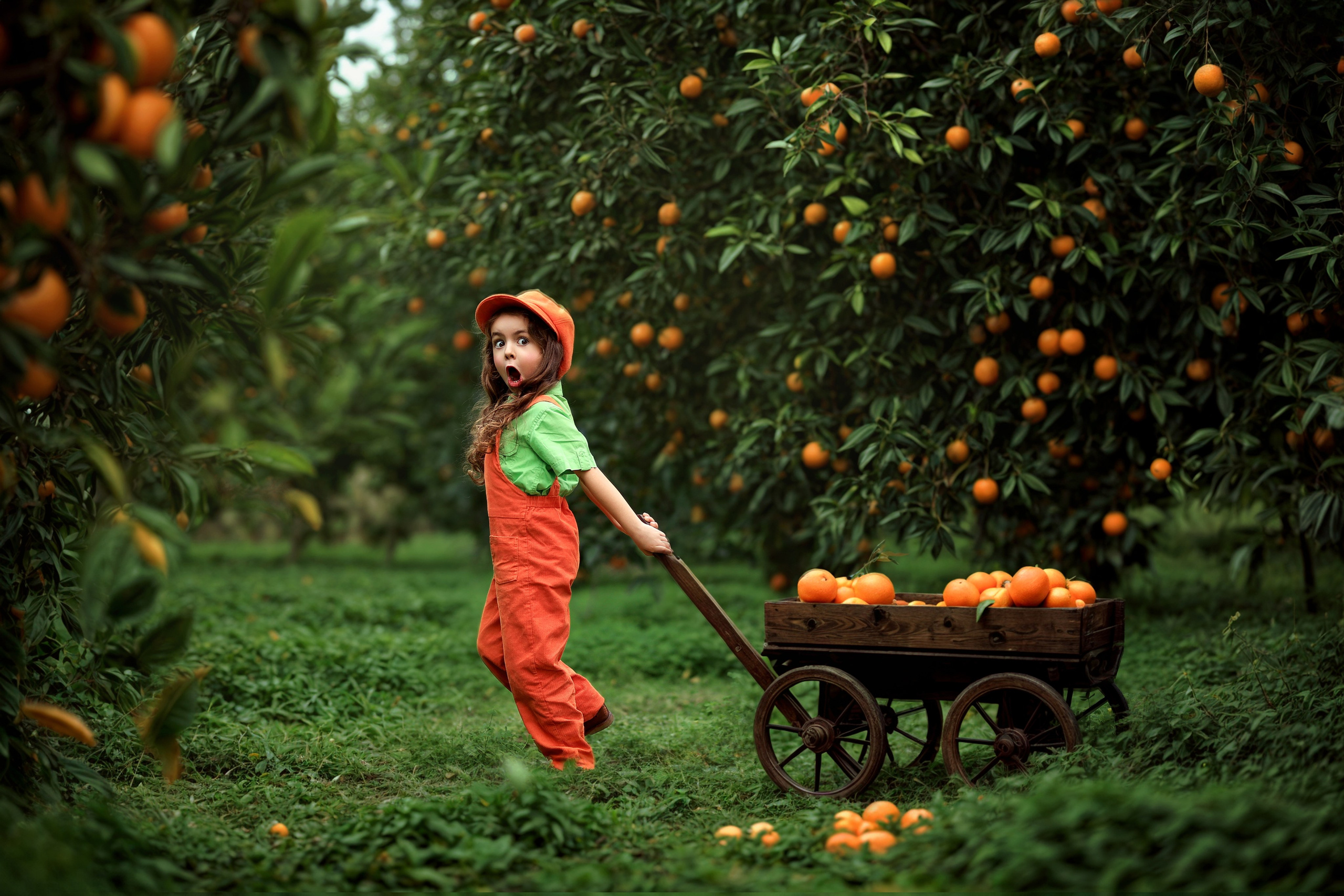 Photoshooting in orange garden. Photographer in Turkey, Antalya, Kemer, Belek, Side, Kas, Fethiye