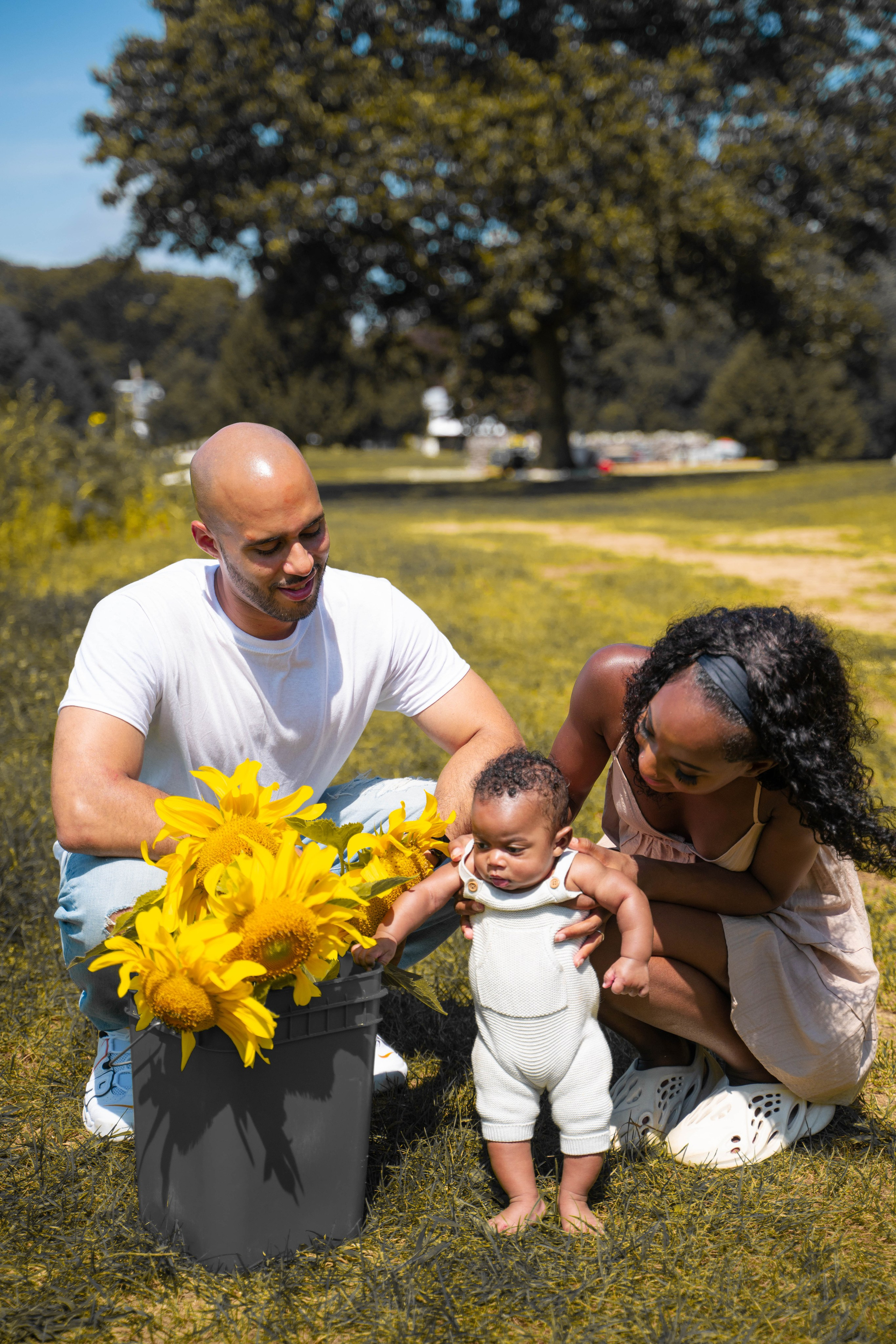 Jennifer and Louis at Sunflowers Farm. Stefanovich Photography | Boston, MA