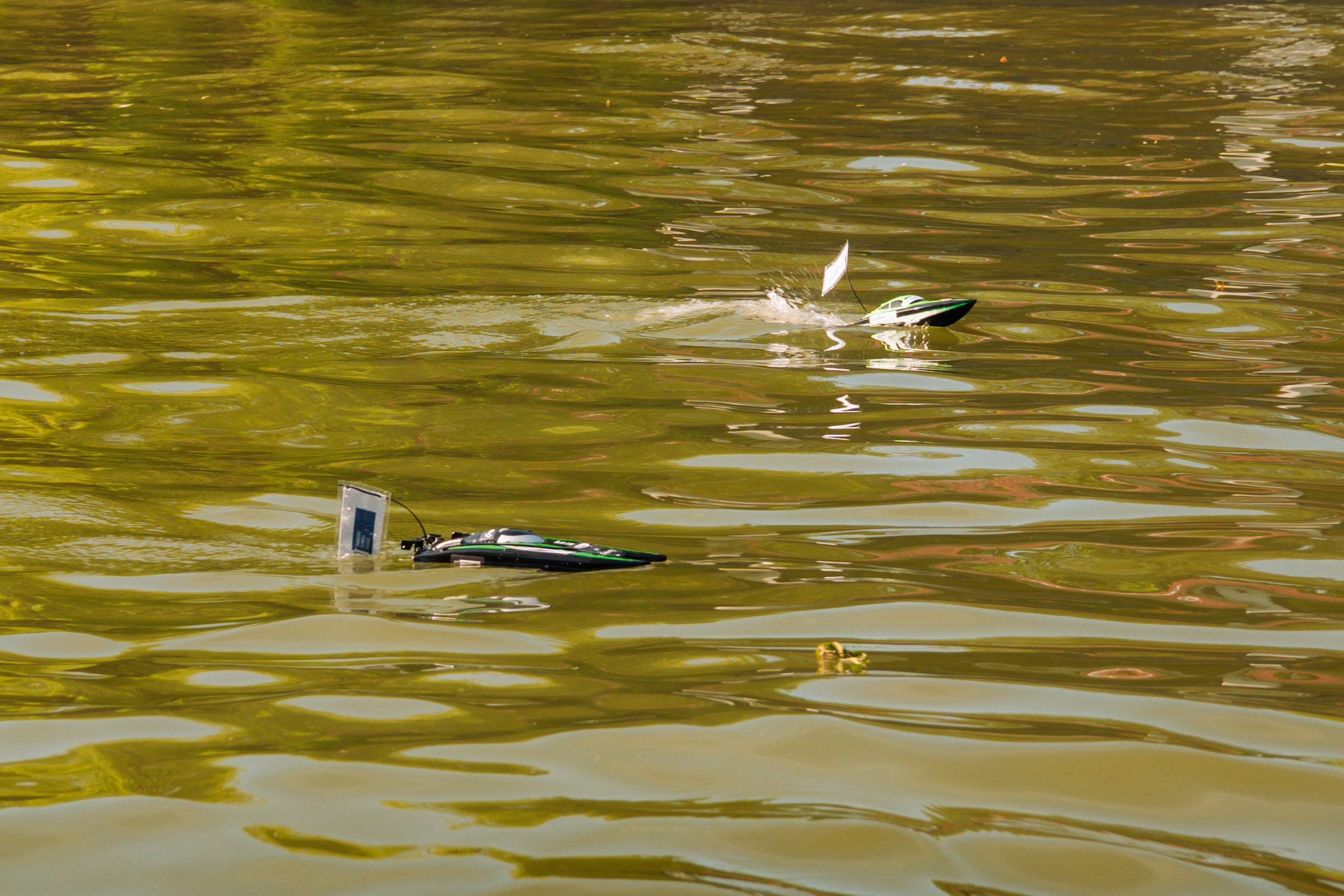 06.04 Bega Boat Race. Cozac Cristian Photographer