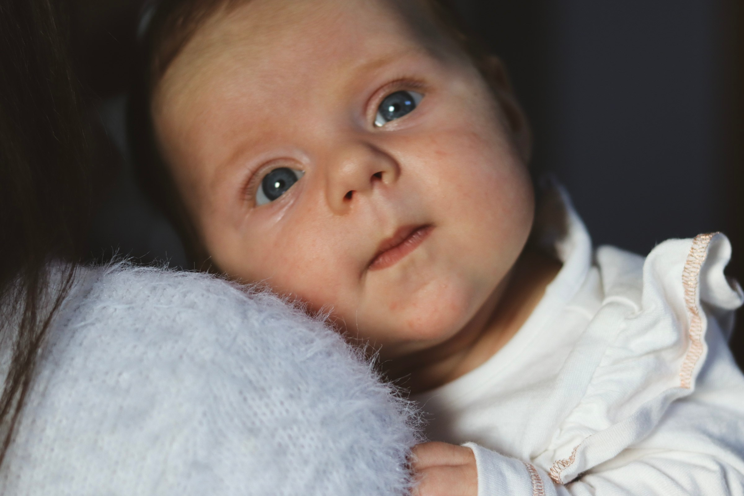Without leaving home. Photographer Margarita Antonova in Naas, Co Kildare