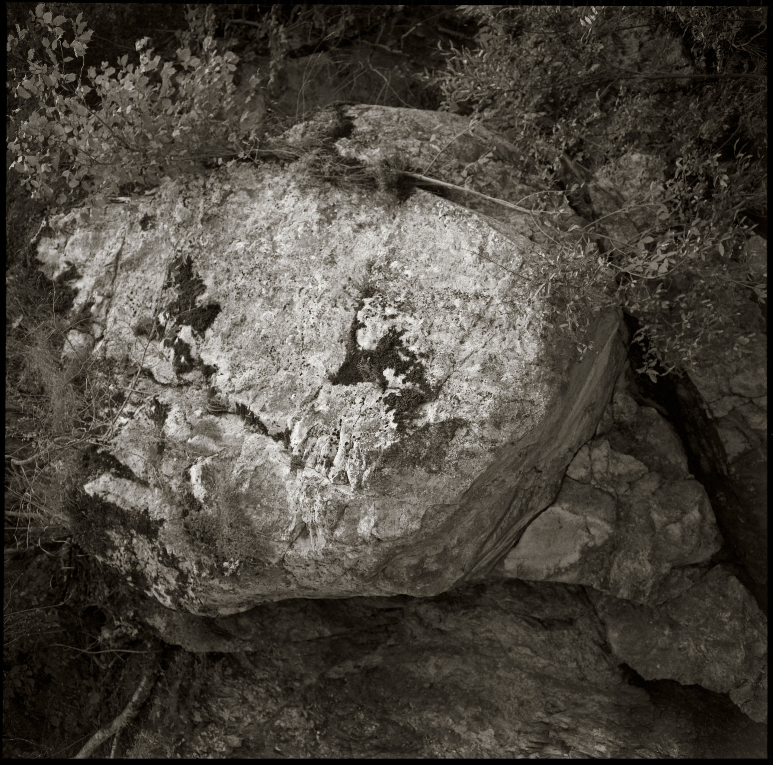 NATURE. Www.sananaleskerov.com