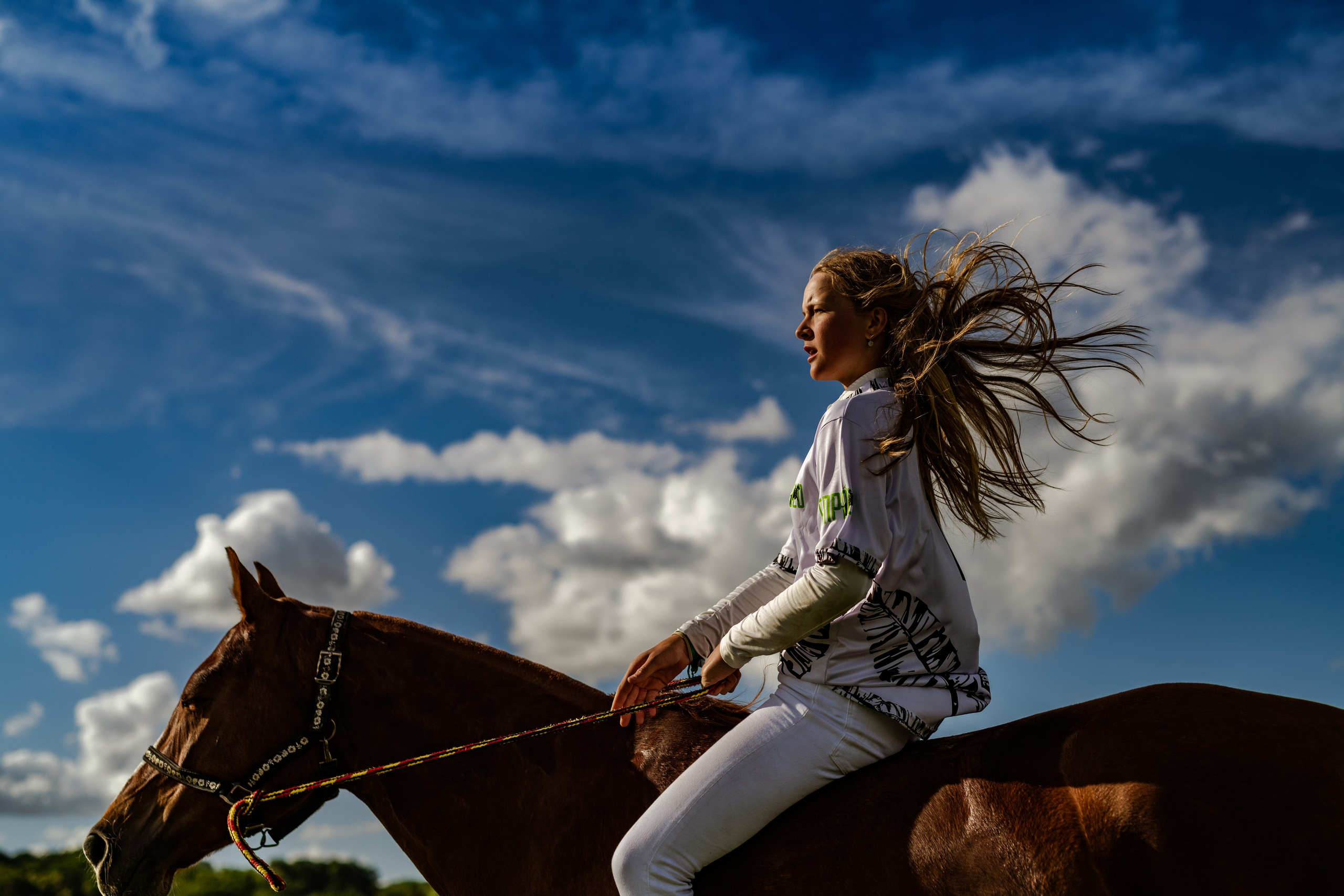 Photo shoot with horses