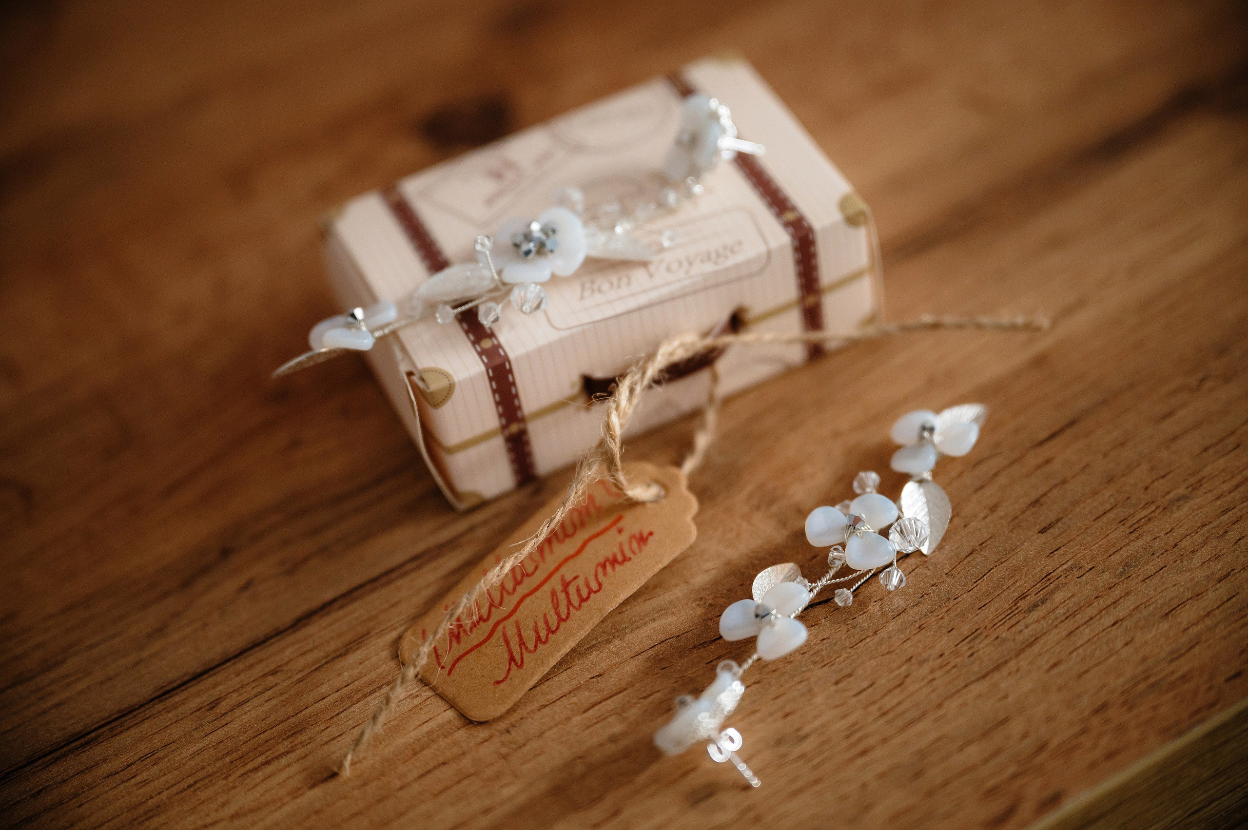 NUNTA Tudor si Stefana. Laurentiu Stefan StoryTeller