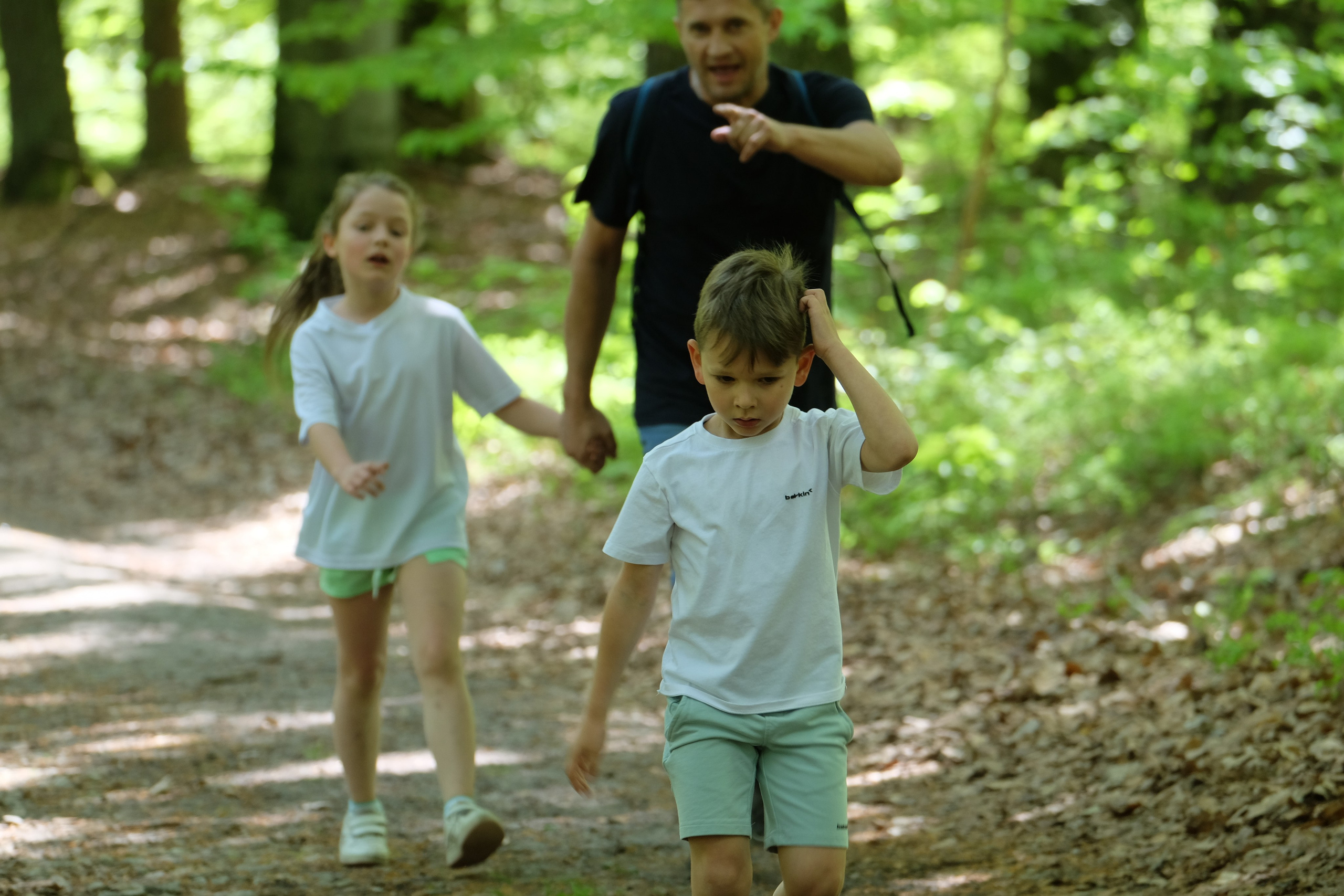 Aleksandryjska Piątka po lesie. Main