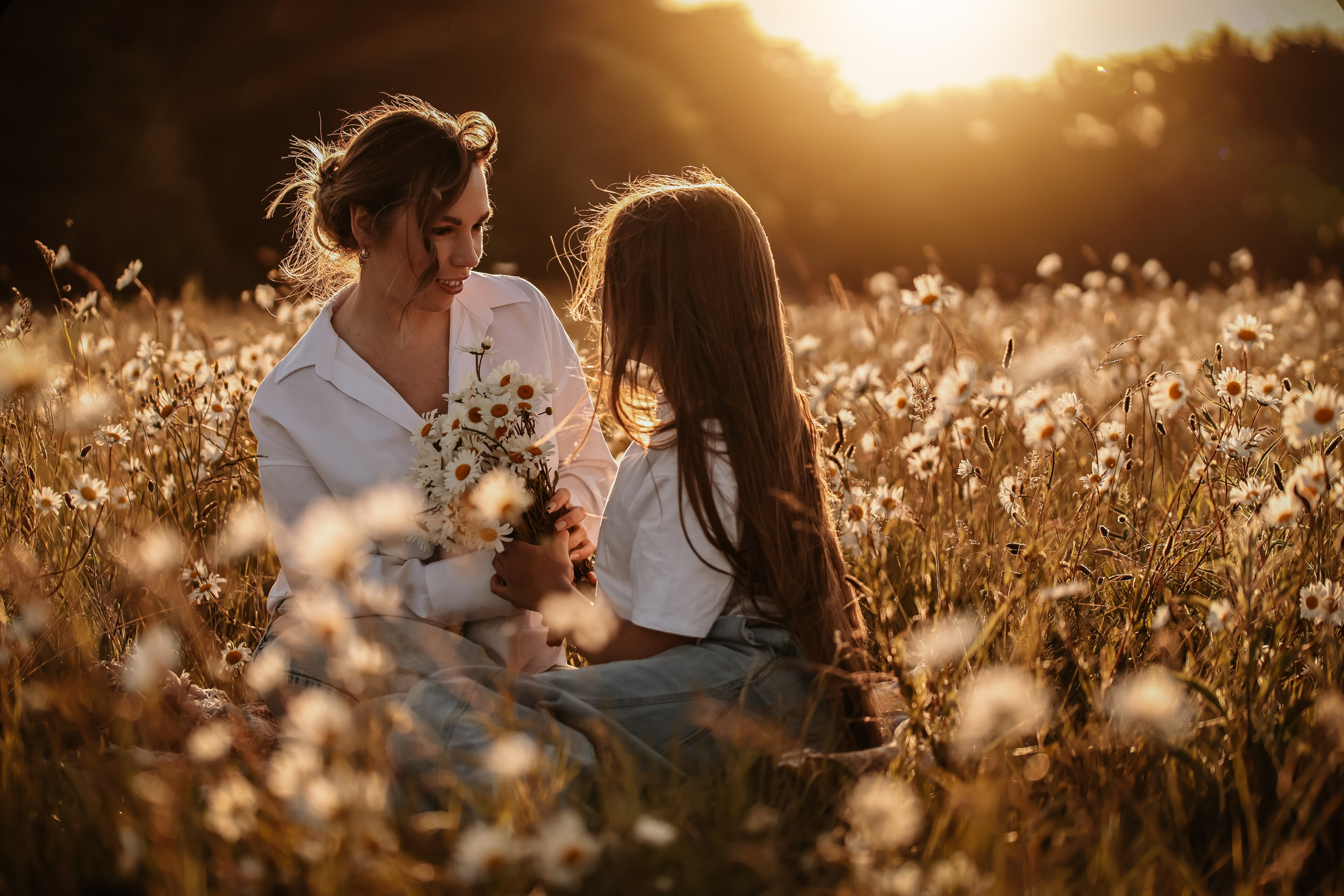 Golden field. Photographer Co Dublin, Balbriggan — Agata Maliseva