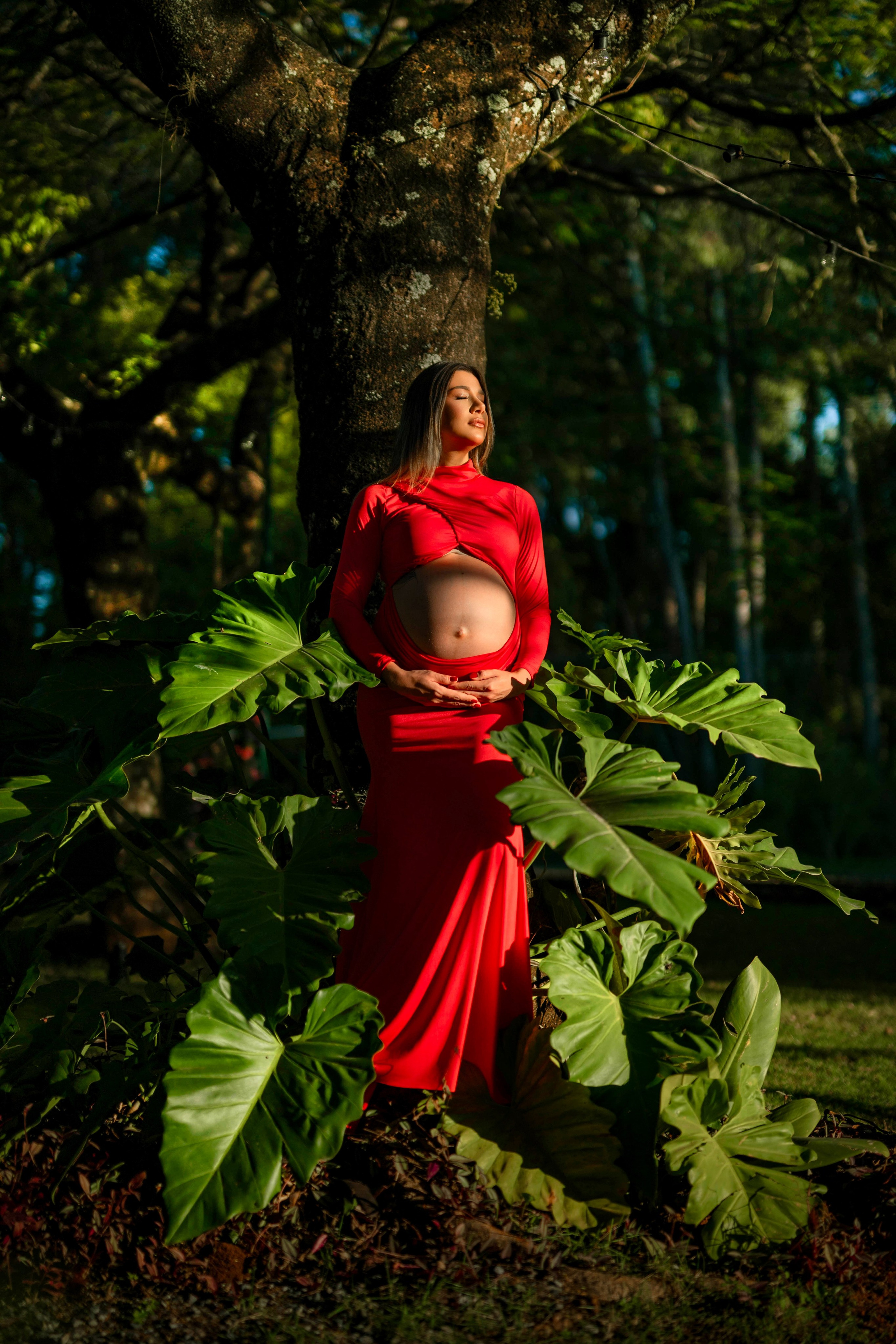 Maressa.Gestante.Sherwood. Fotógrafo de Casamento, grávida, Retrato, Corporativo
