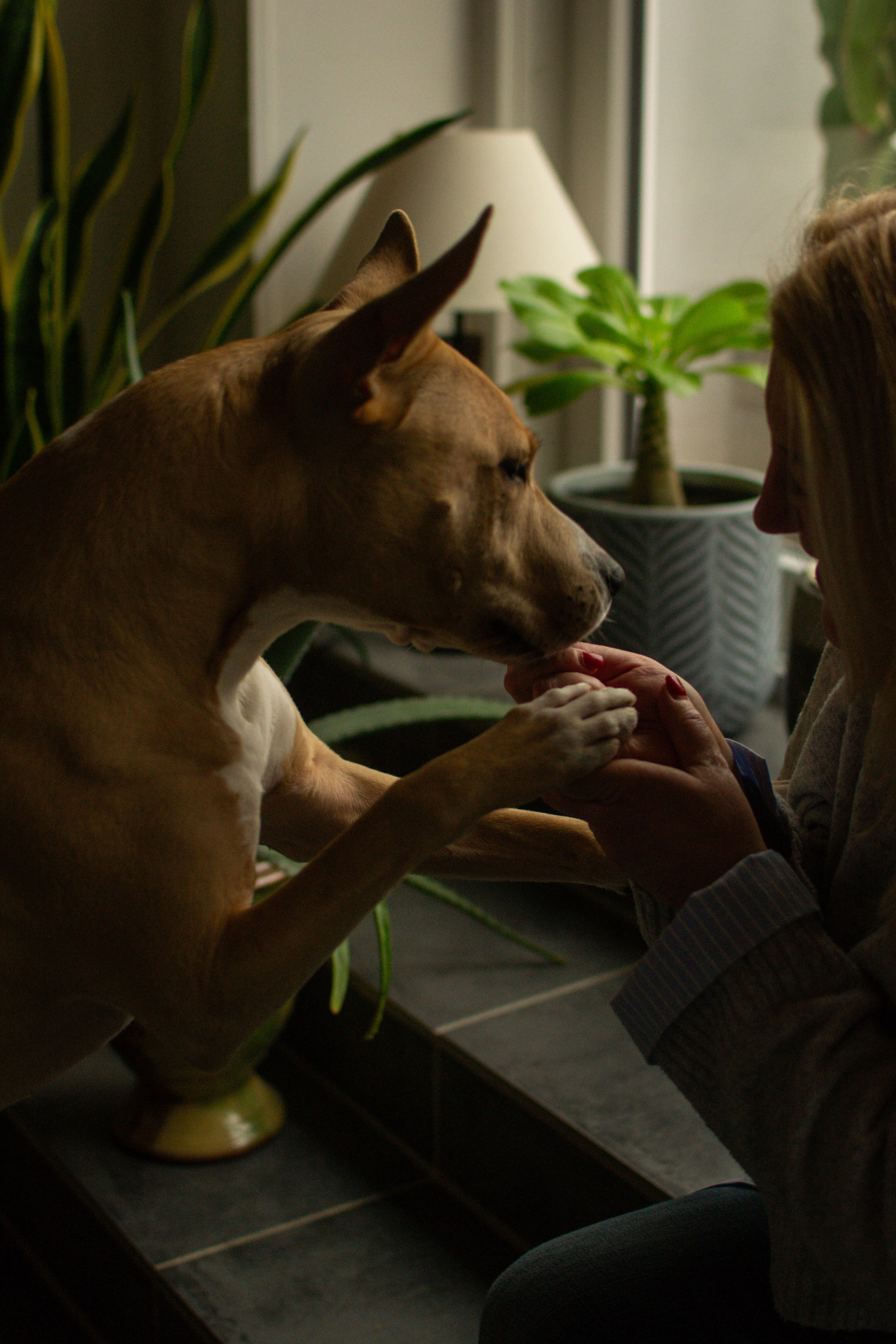 Elise et Leyka. Photographe animalier à Paris Anna Pereira