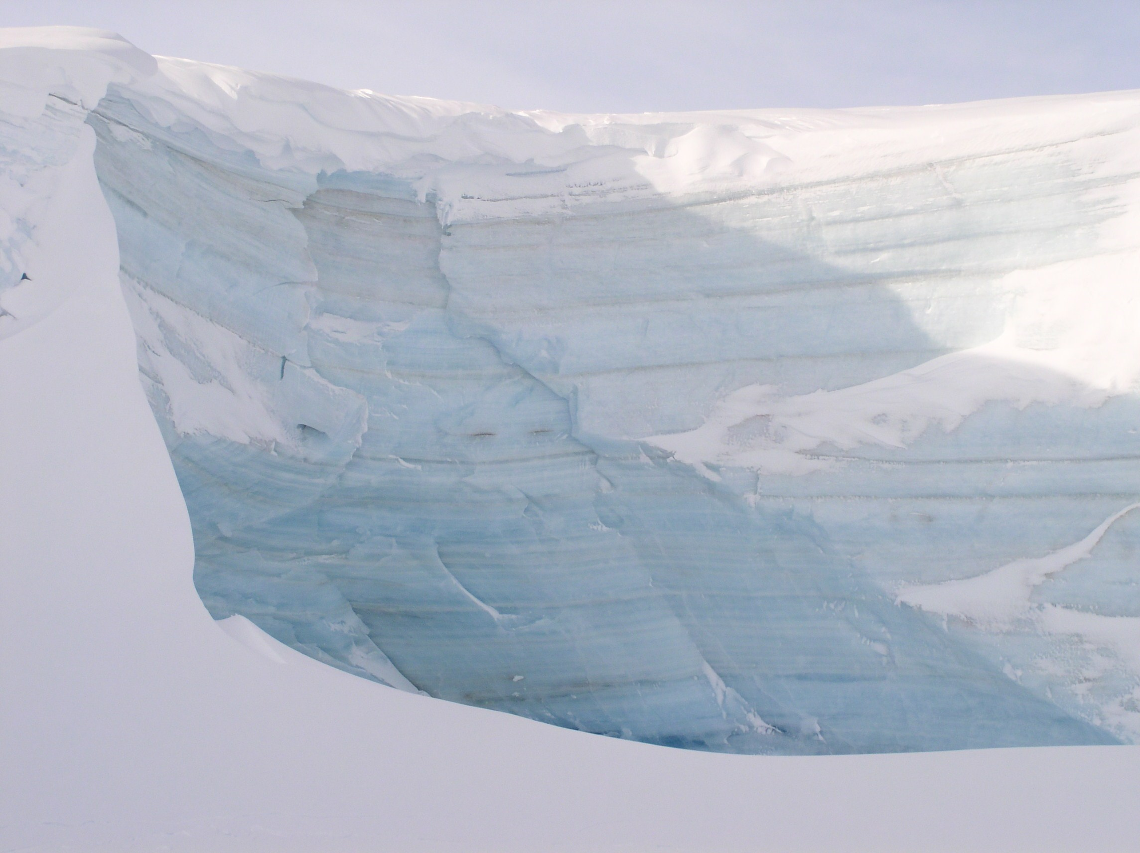 ANTARCTICA. Reportage concert portrait photography in the San Francisco Bay Area