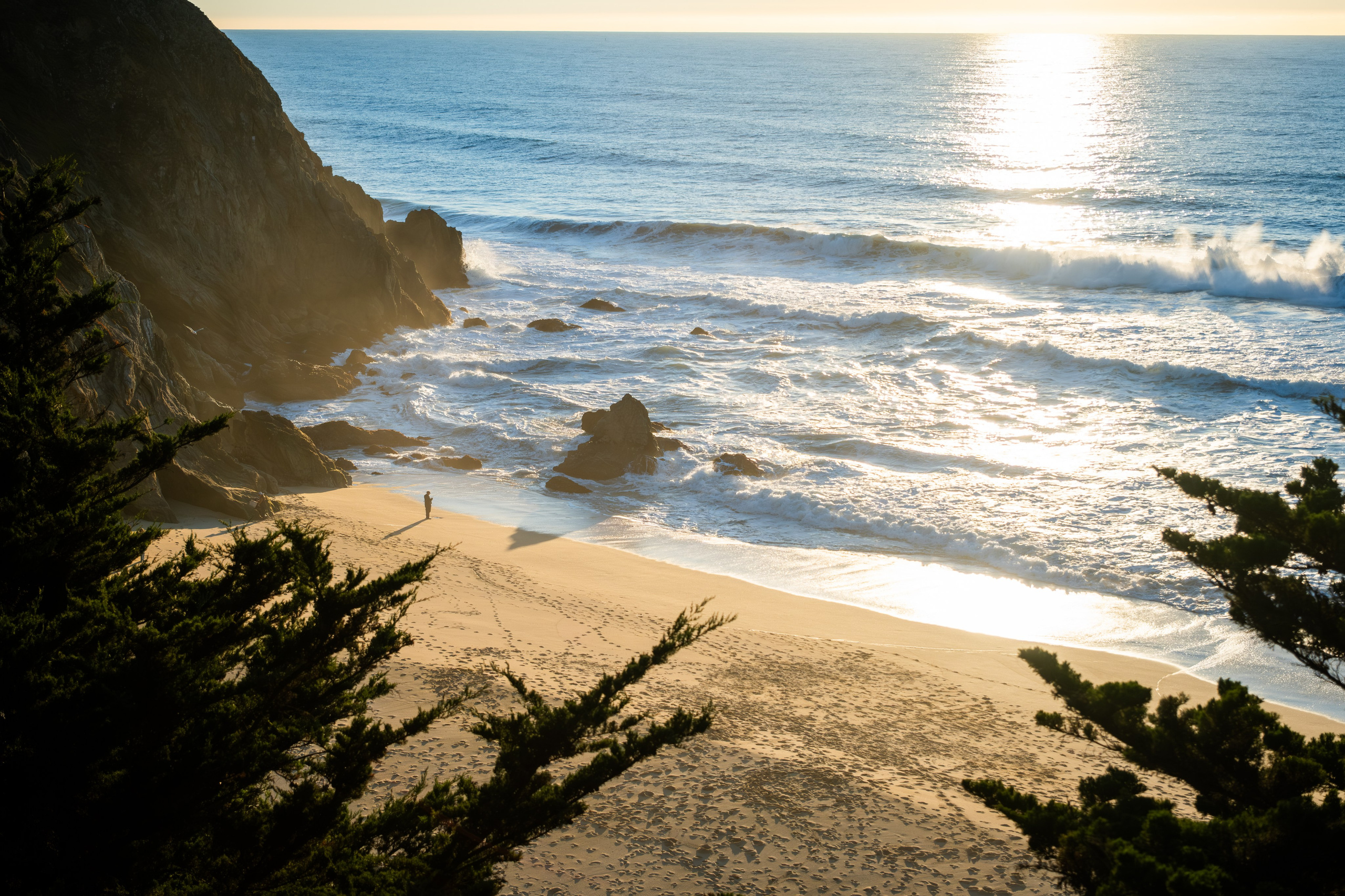 NATURE. Reportage concert portrait photography in the San Francisco Bay Area