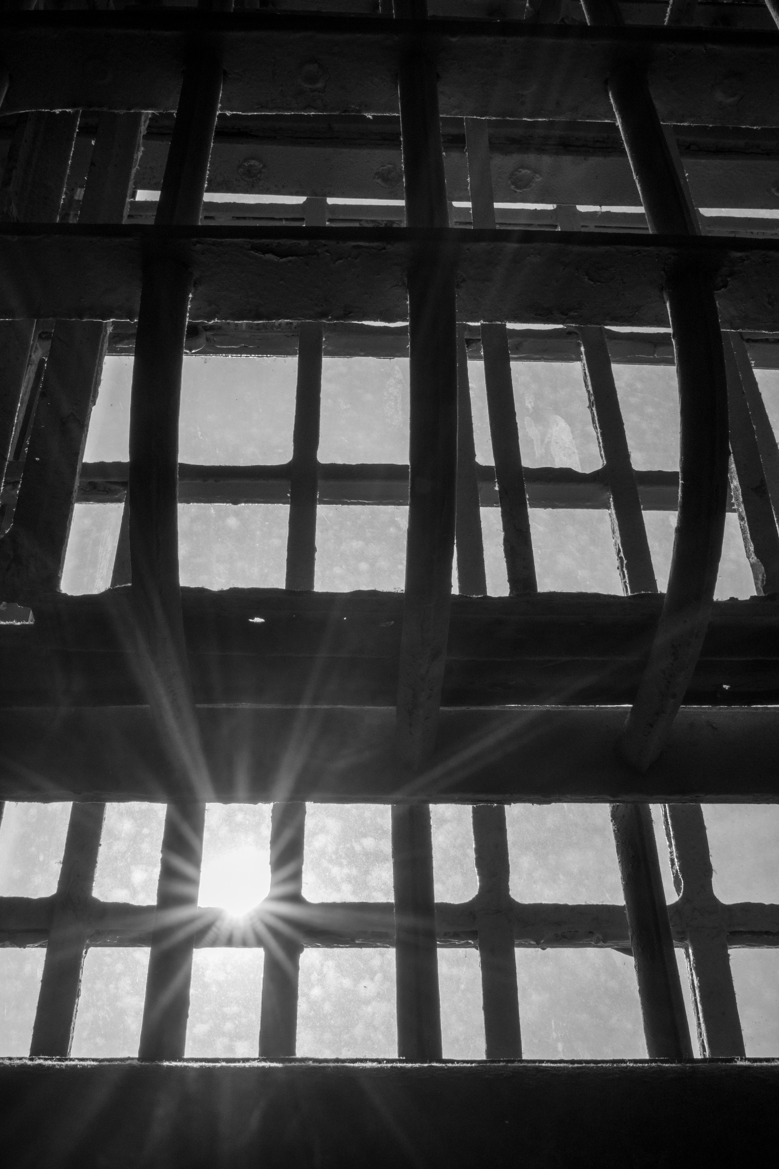 San Francisco. Aleks.photo | Book a photoshoot