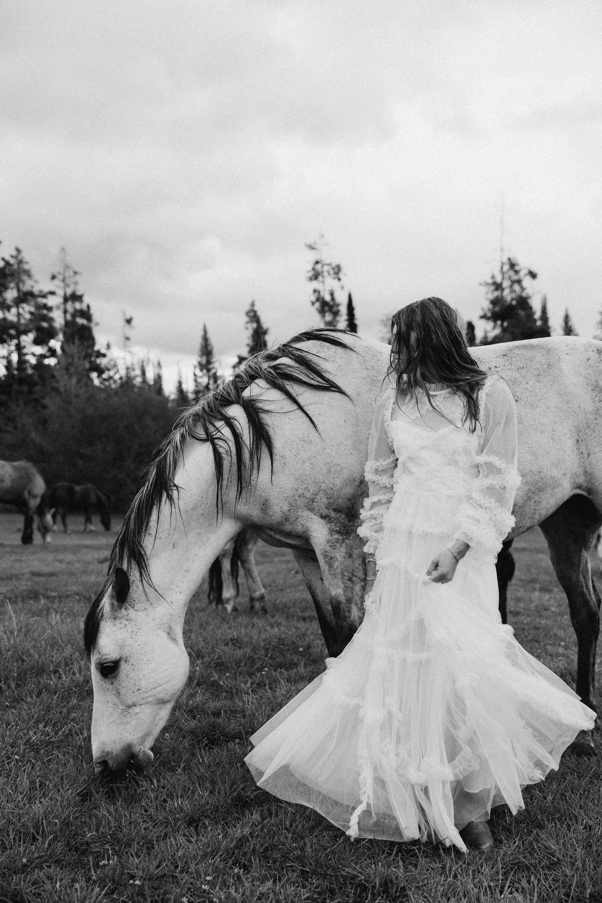 Siena & Aaron | Elopement in Wyoming