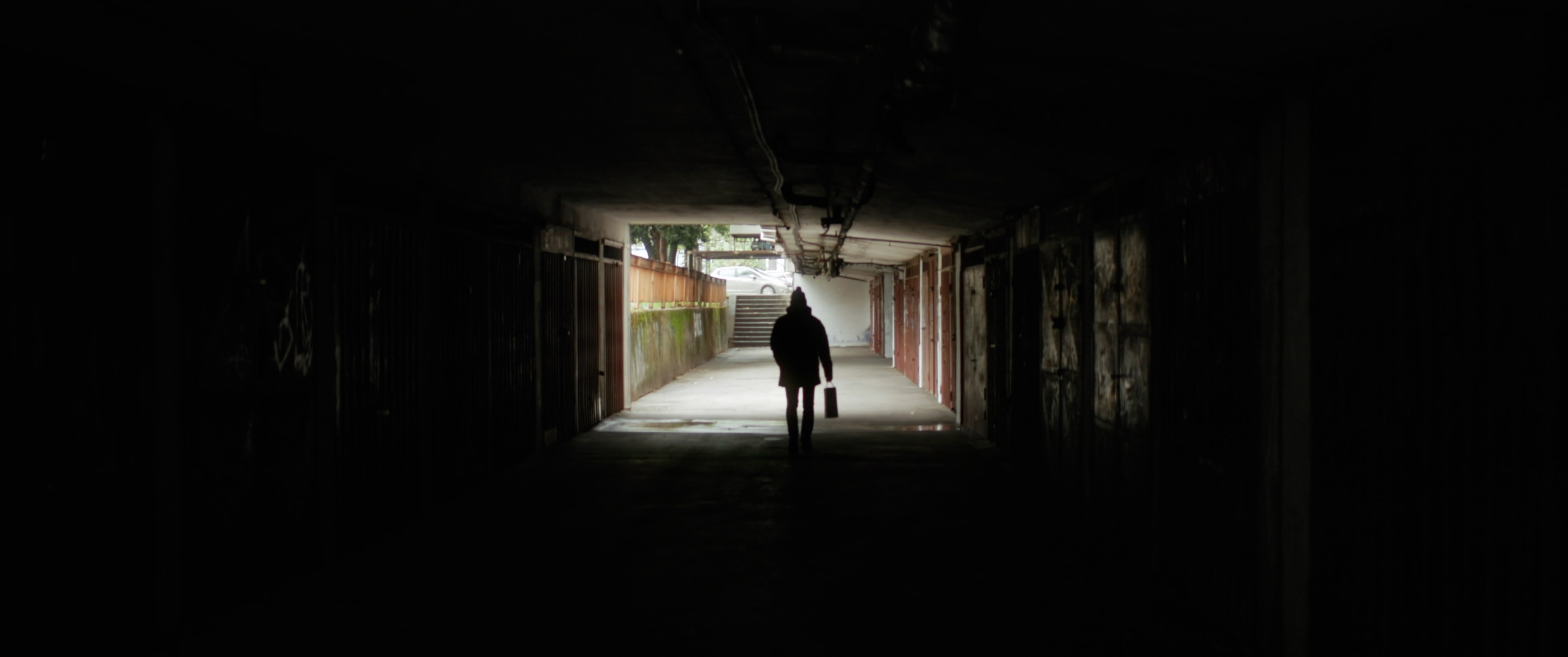 POD LUPOM. Ervin Golubović: Cinematographer and Director