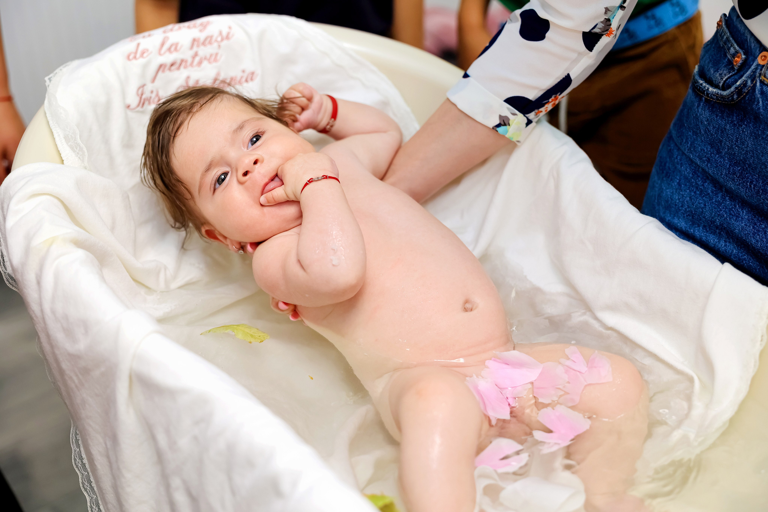 Iris Stefania. Moments By Gub