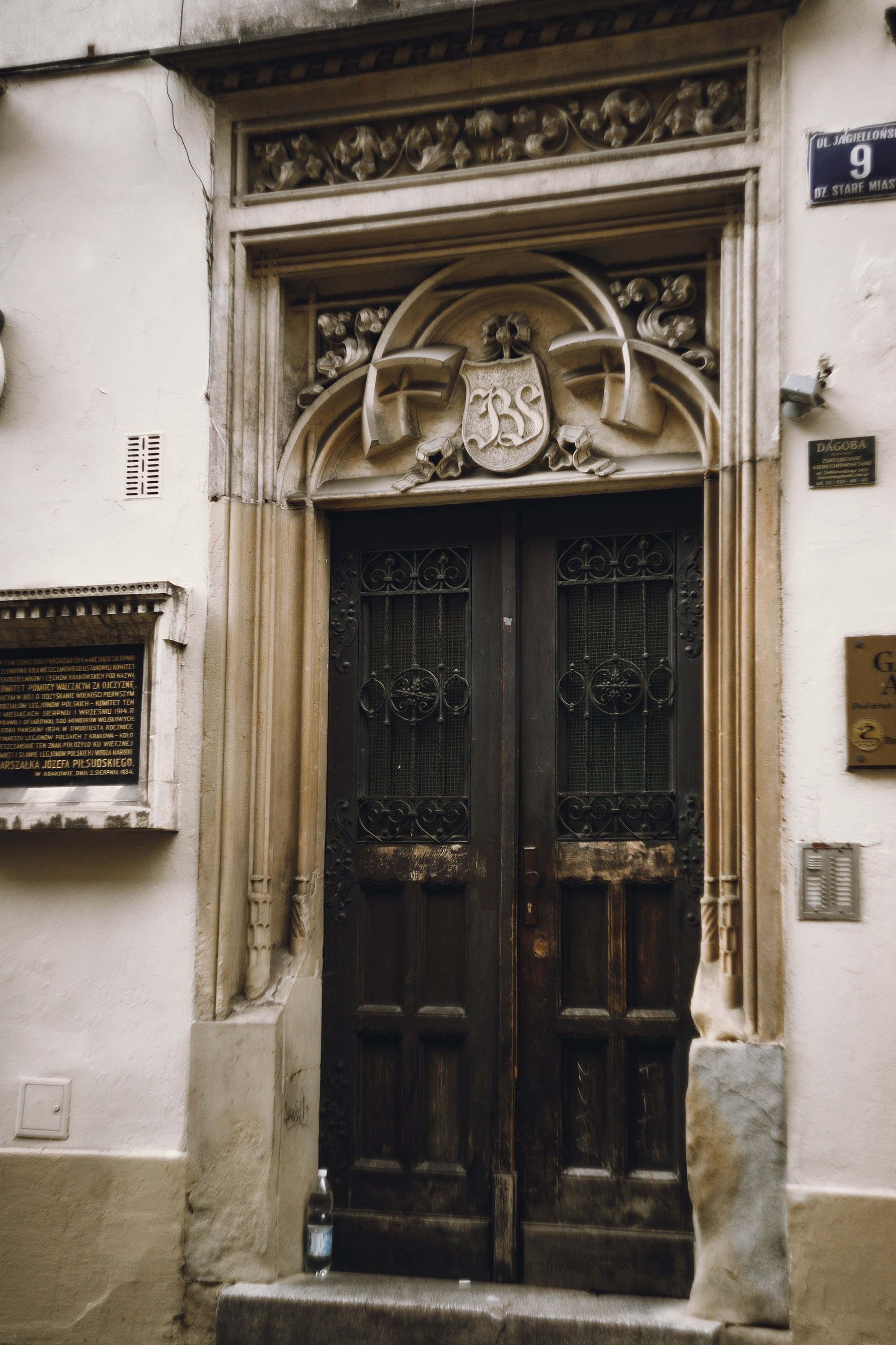 Krakow. Kaja | fotograf psów we Wrocławiu