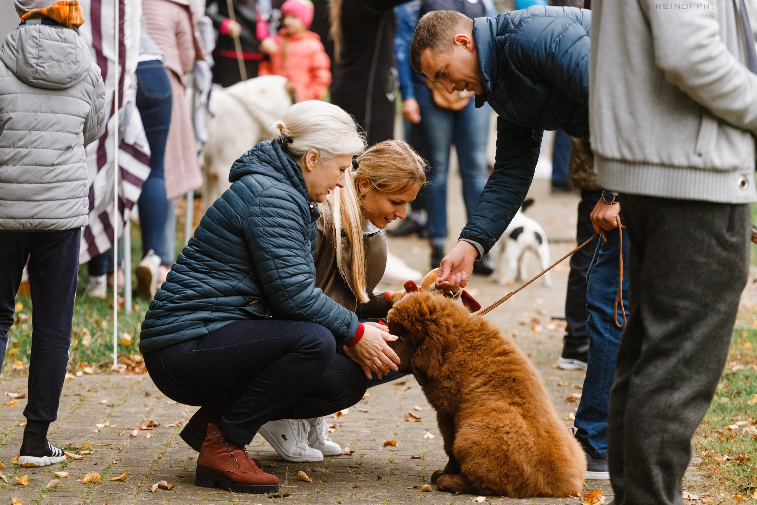 «Argus» dog show in Brest. Kaja | fotograf we Wrocławiu | ludzie i psy