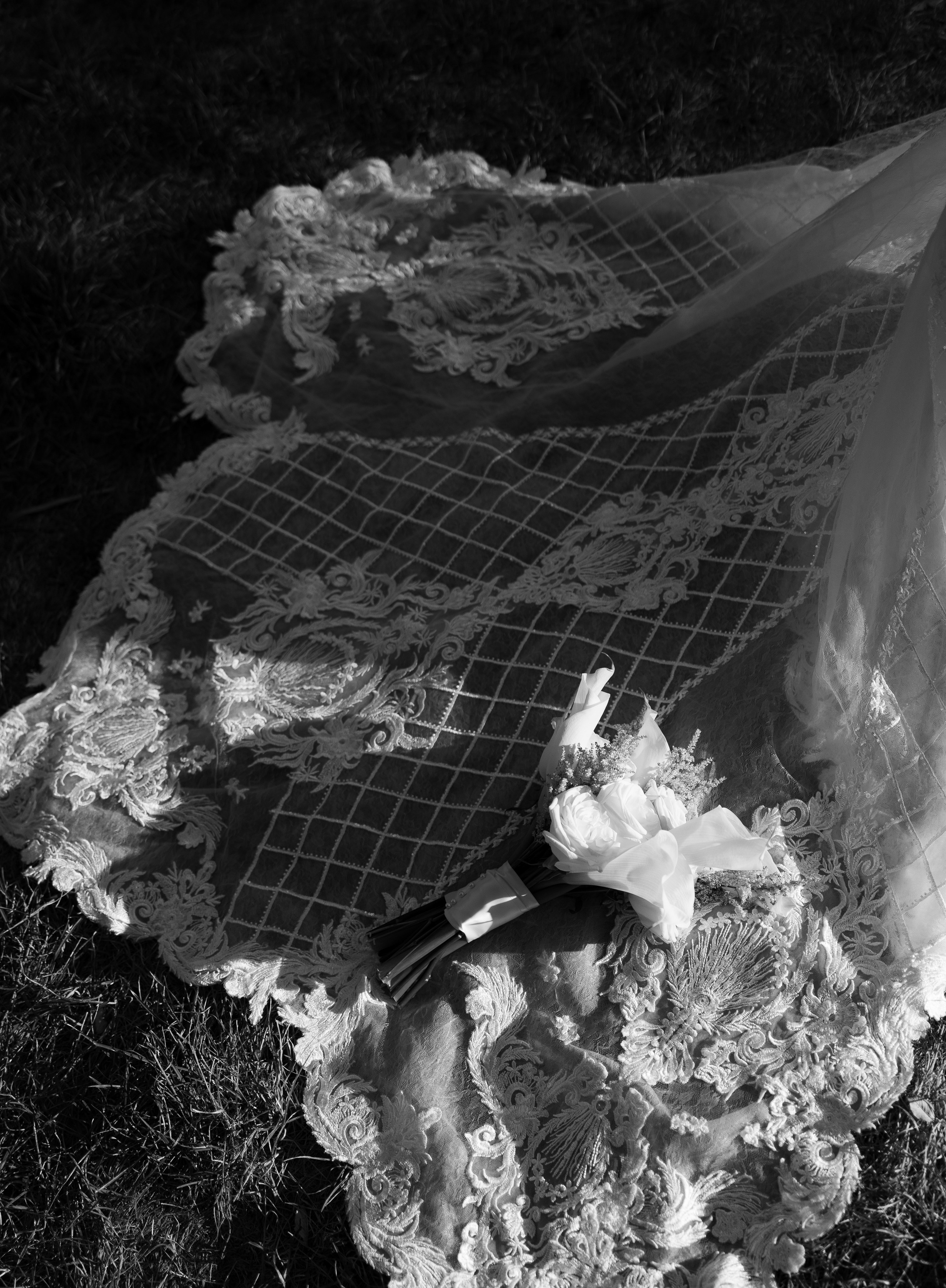 Nina and Arjun. Intimate Elopement in Washington DC. Photographer Anastasia Nagibina