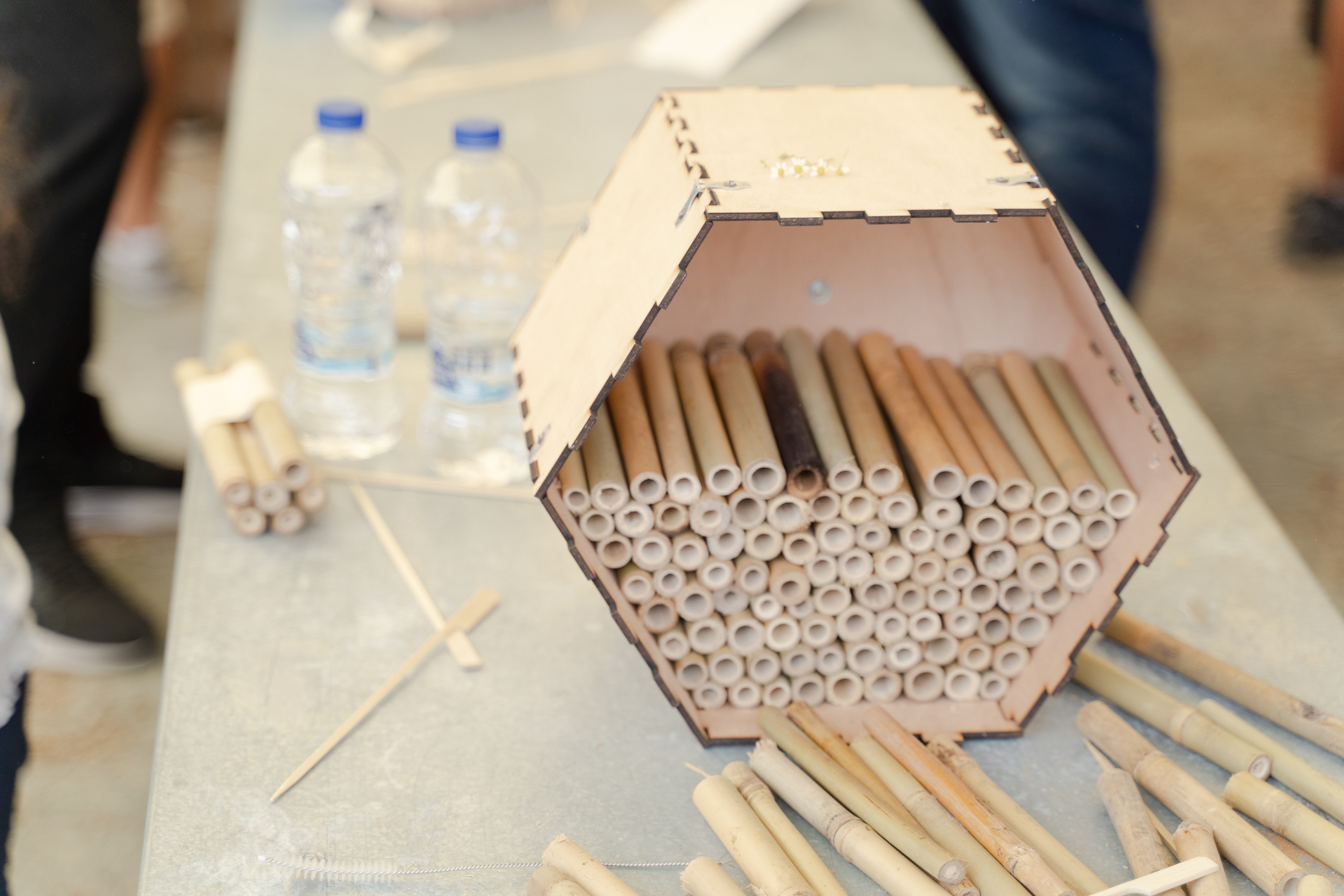 Events. Maryna Avramenko Photographer