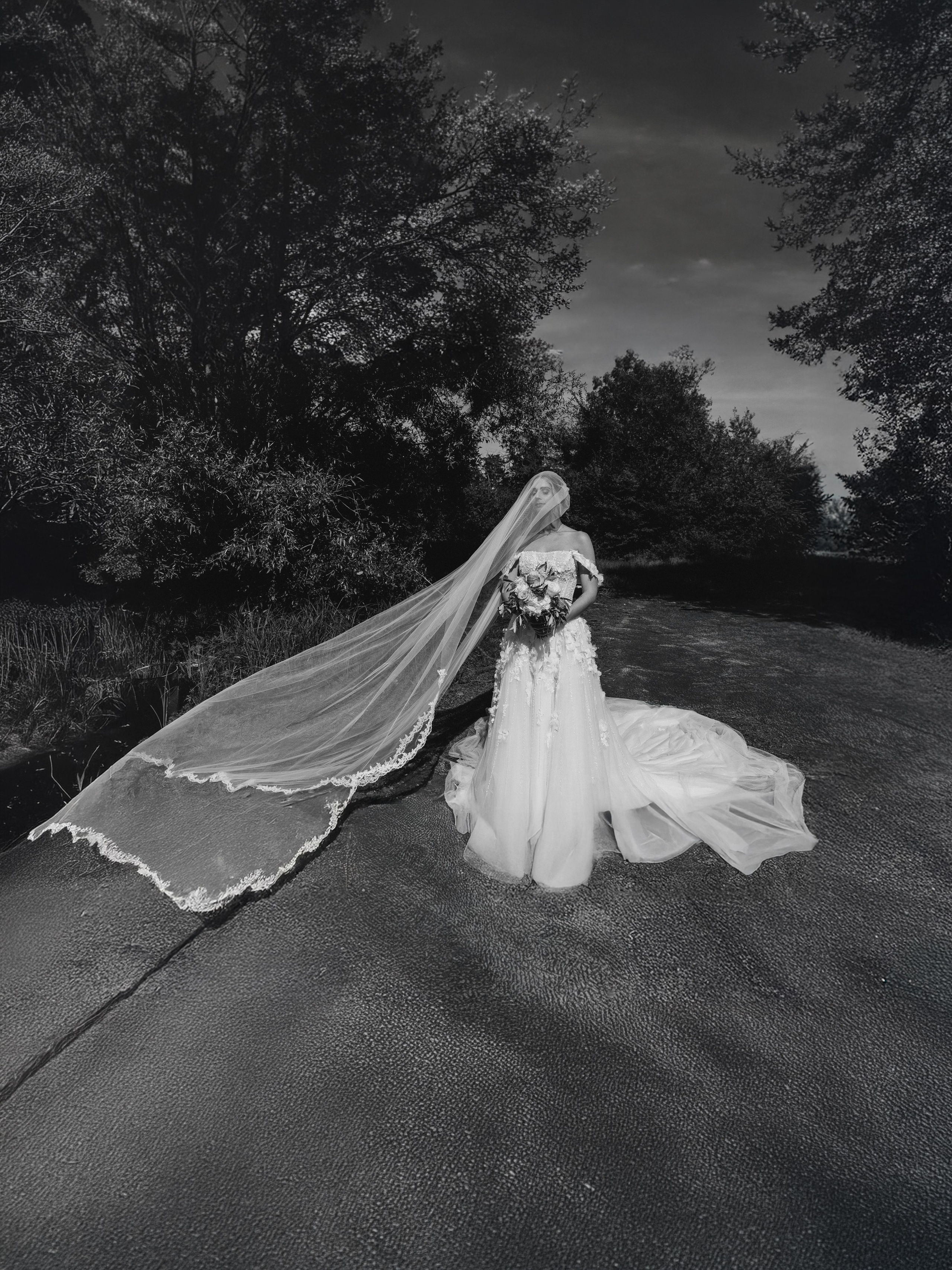 Weddings. Wedding Photographer