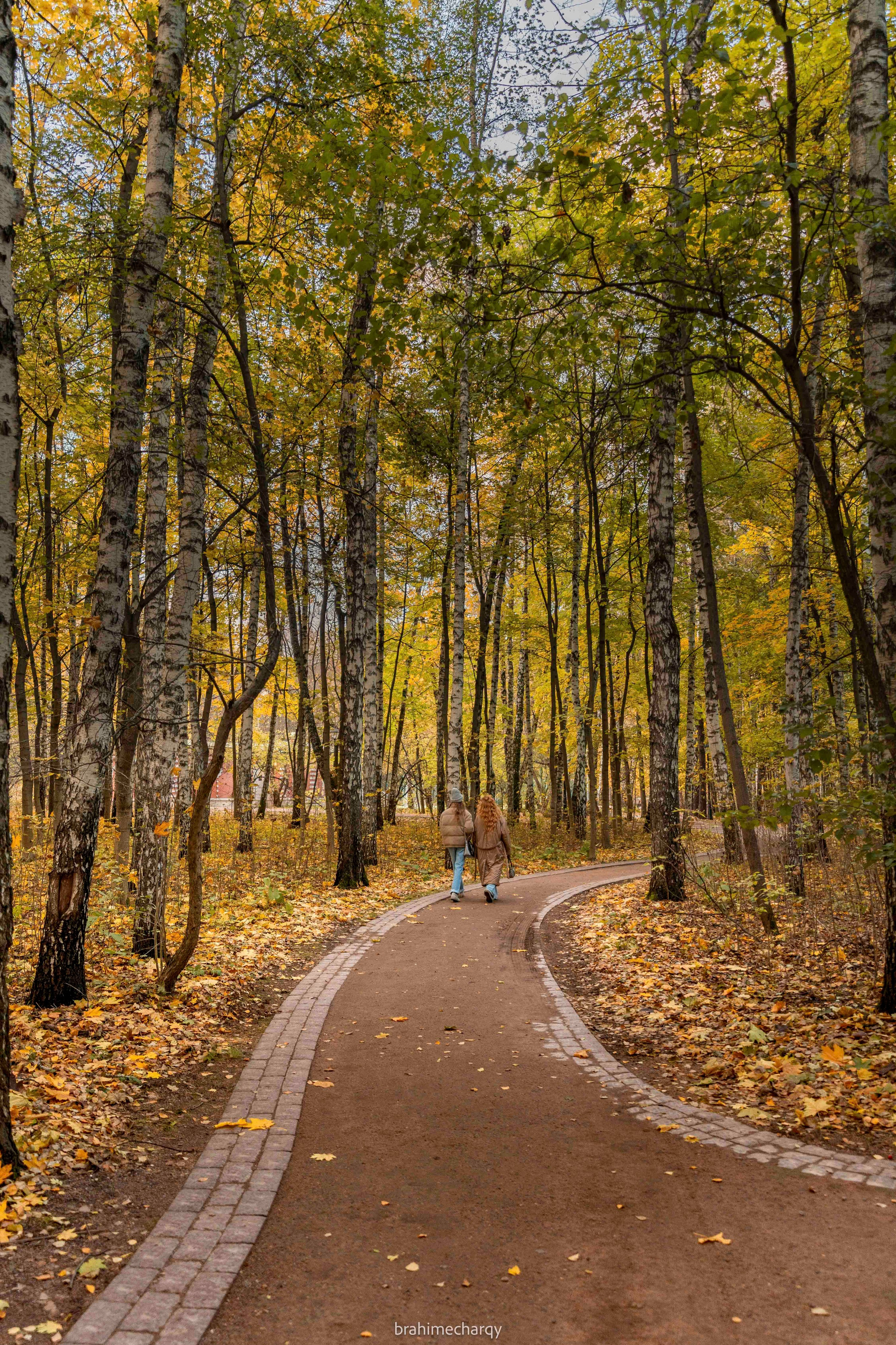Фото. Брахим — фотограф
