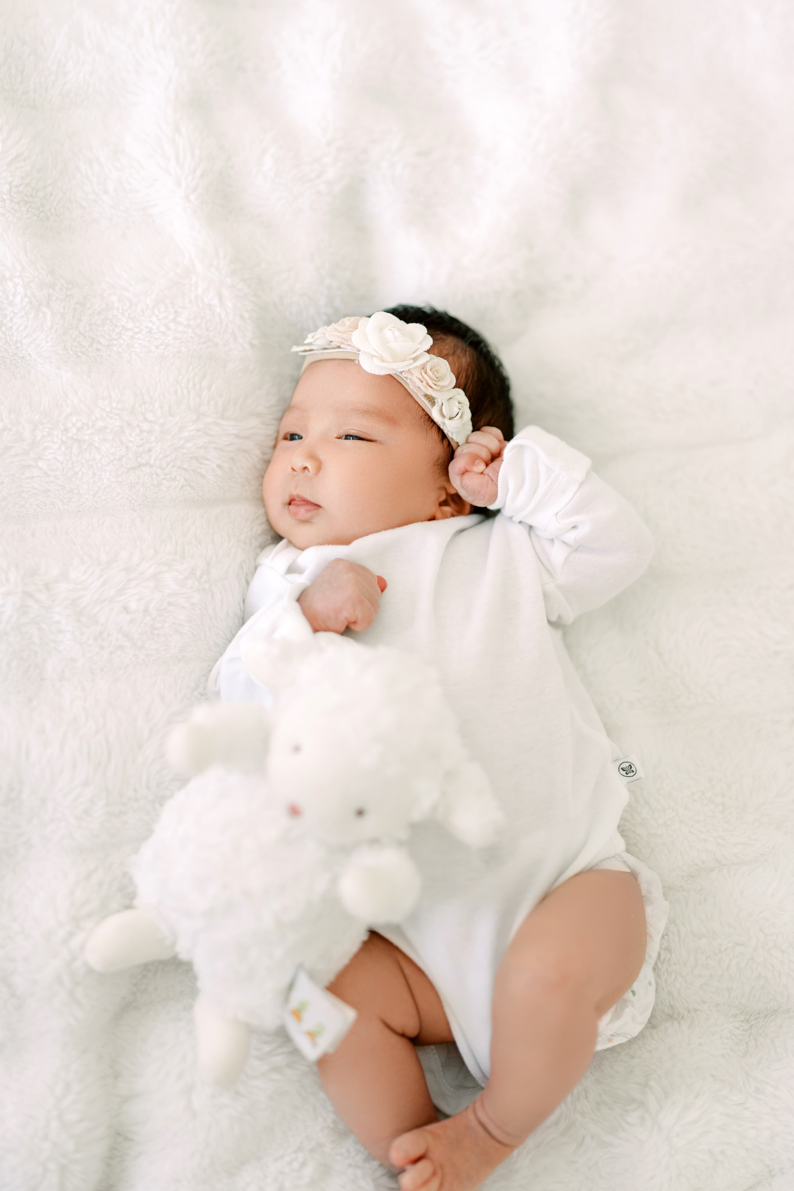 New born photoshoot. September 2024. Seattle, WA. EVAN ARISTOV WEDDING PHOTOGRAPHY — Seattle Wedding Photographer
