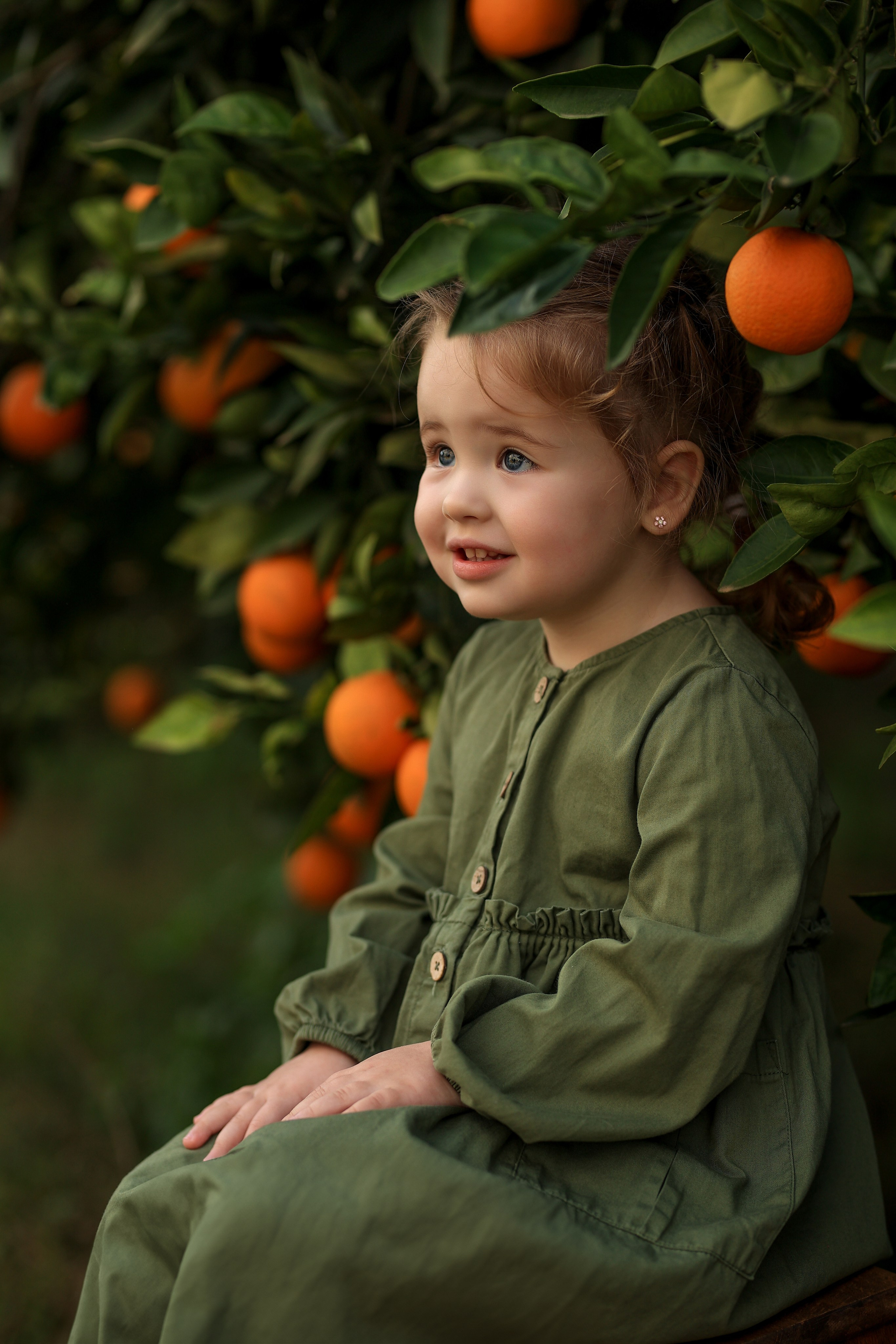 Photoshooting in orange garden. Photographer in Turkey, Antalya, Kemer, Belek, Side, Kas, Fethiye