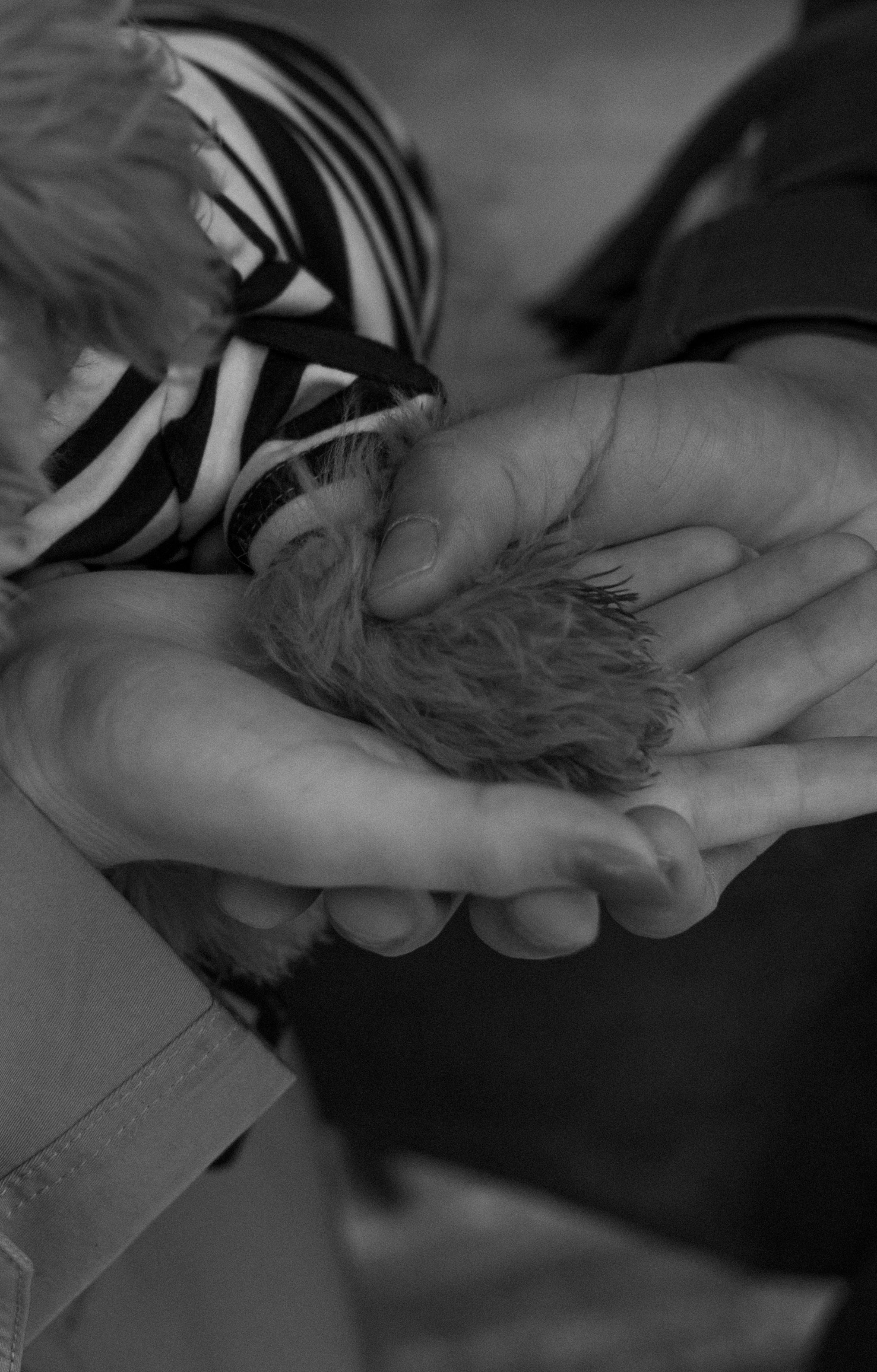 Barney, Nastya et Kolya. Photographe animalier à Paris Anna Pereira