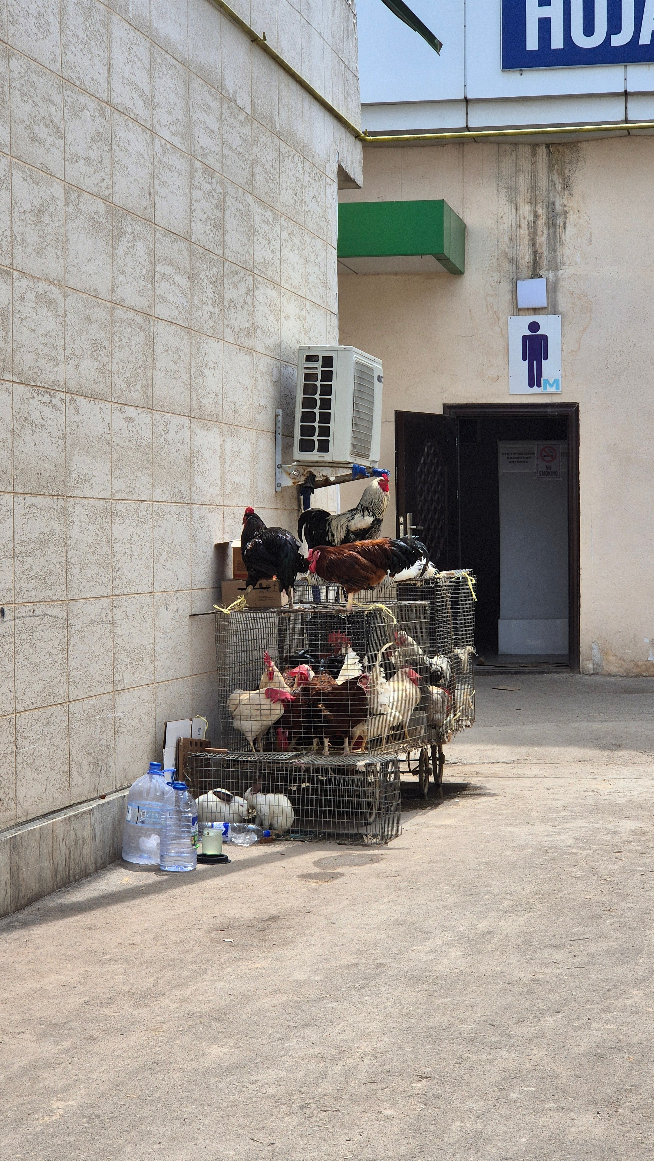 Uzbekistan 2024. Photographer Marina, city of Nuremberg