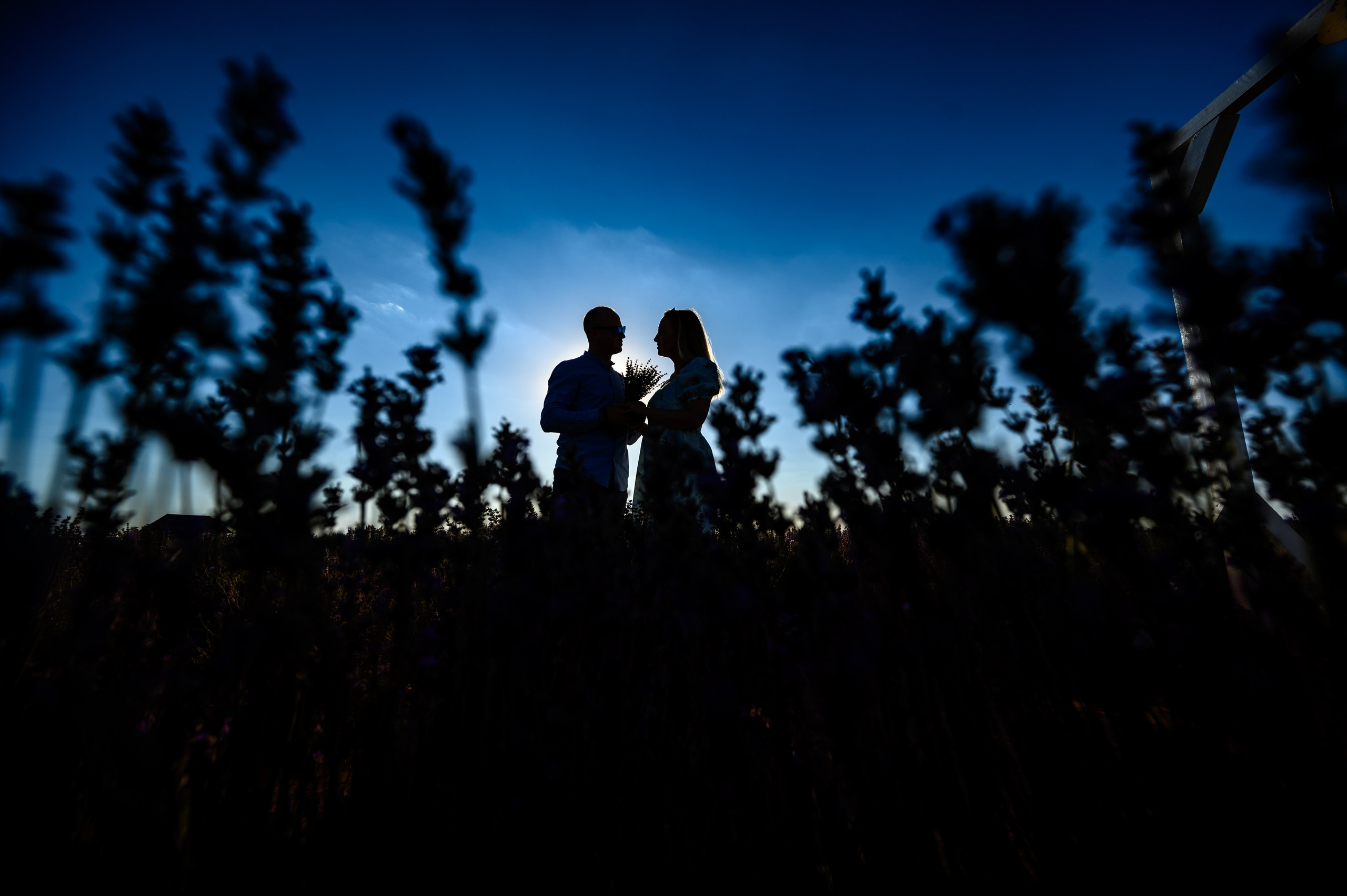 Save the date Alina & Bogdan