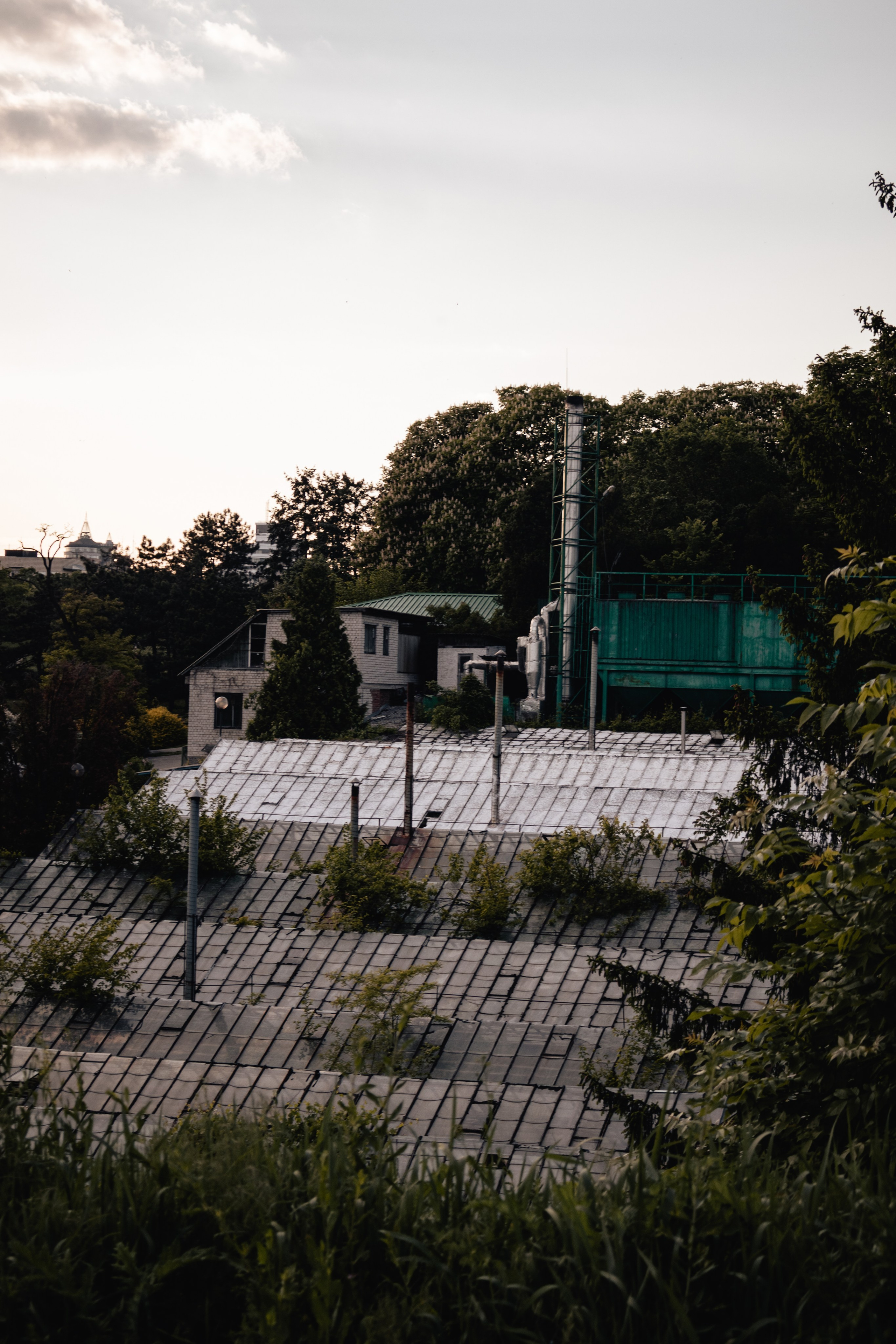 Kyiv. Дизайнер и Фотограф в Кишинёве Бусуйок Станислав