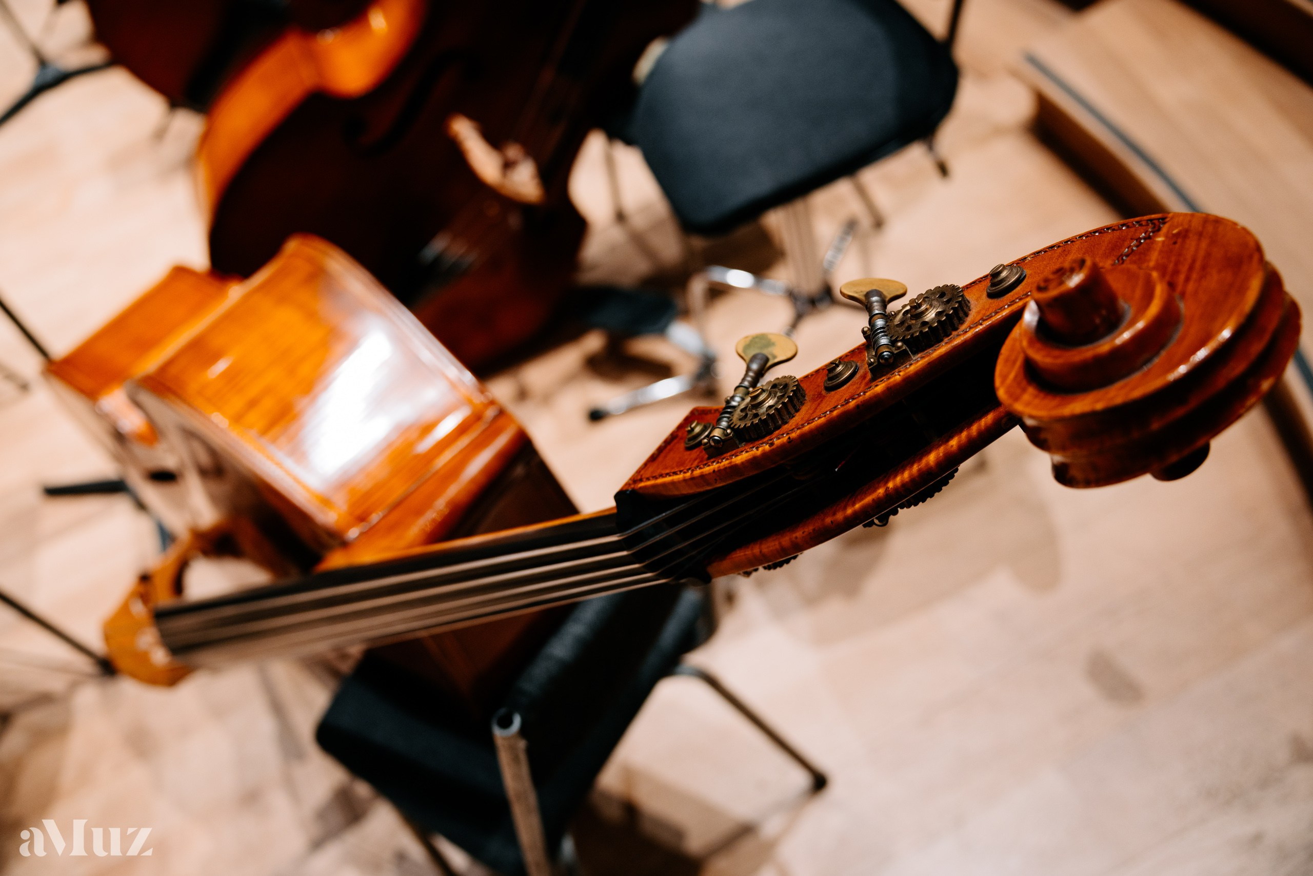 Koncert dyplomantów aMuz w Polskiej Filharmonii Bałtyckiej. Fotograf Ślubny Warszawa - Sesje Biznesowe Rodzinne Eventy