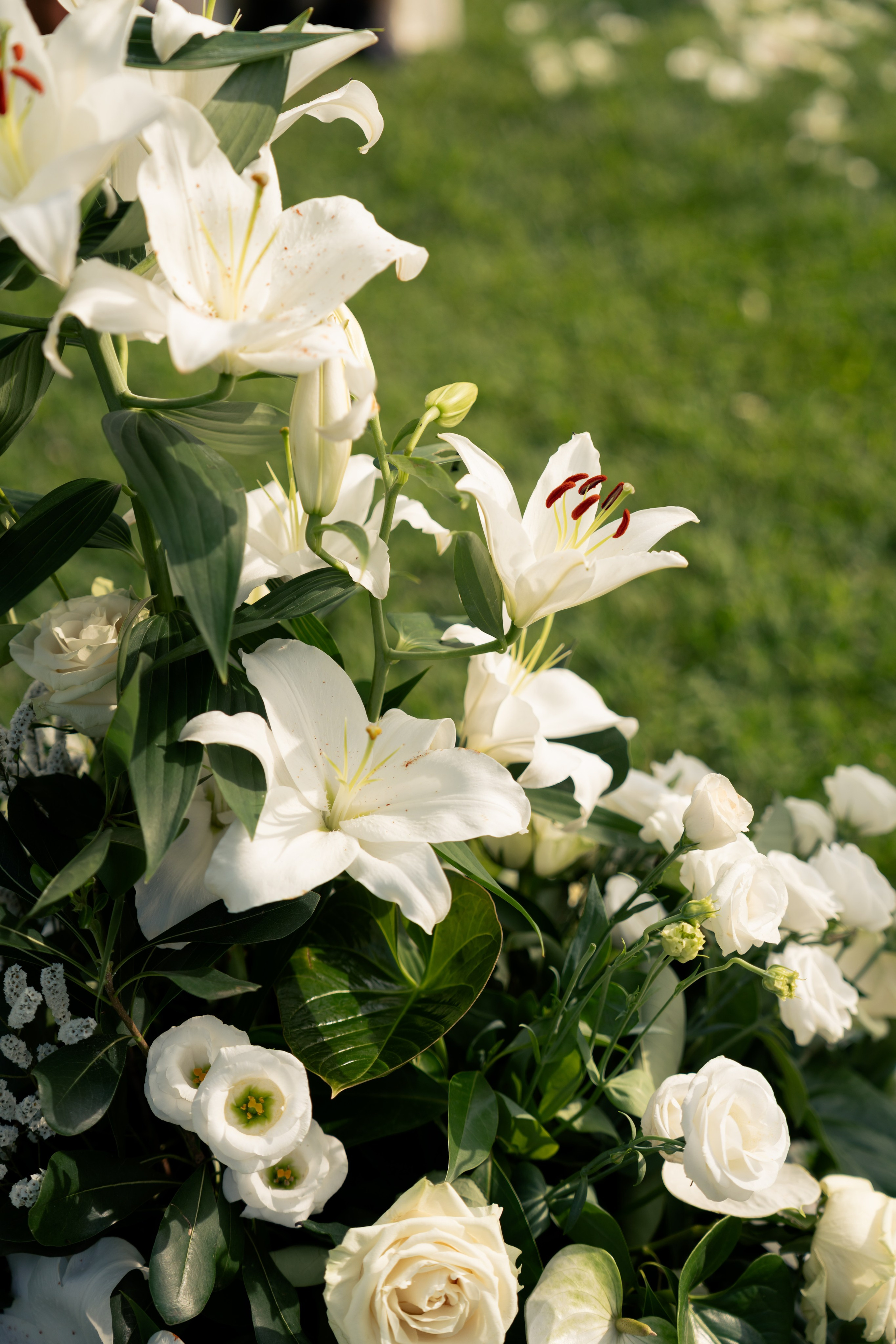 Adi & Larissa. Studio Timis