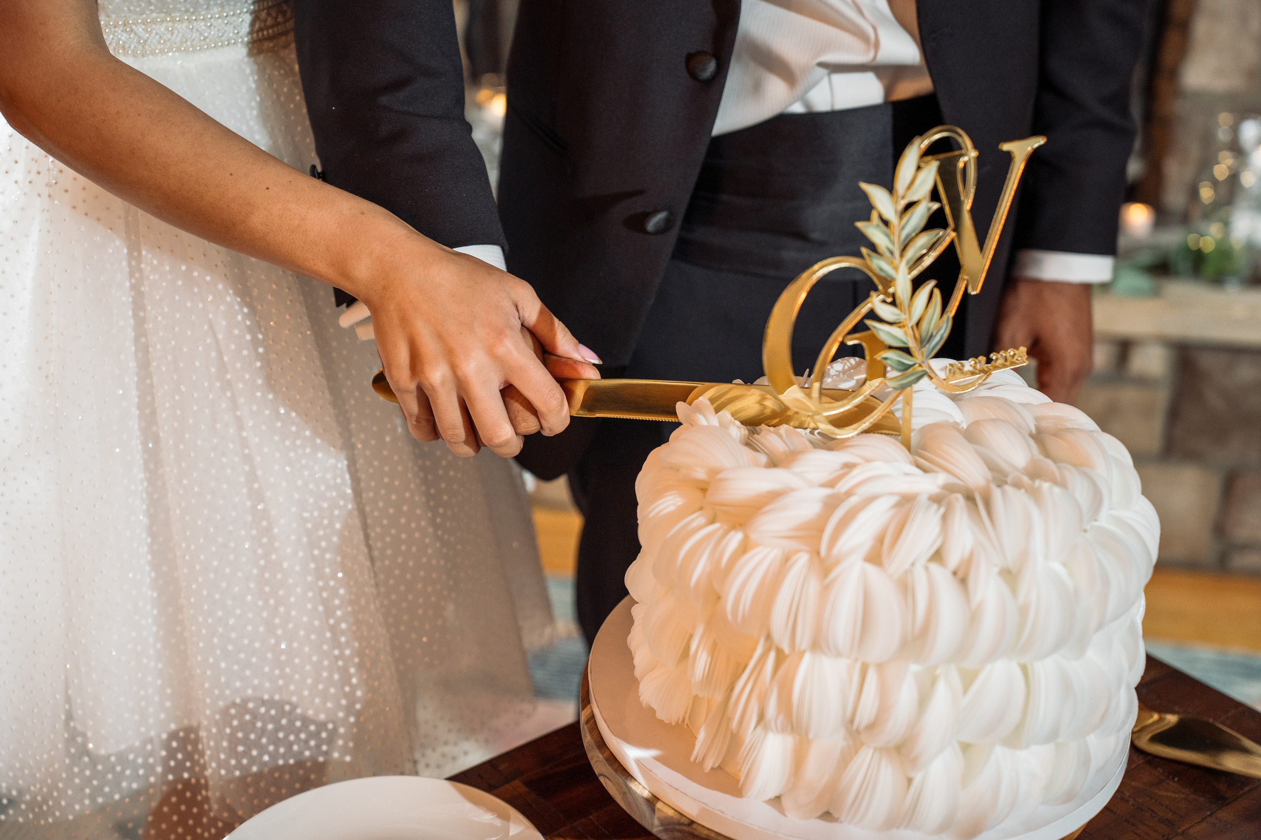 Violetta&Harry. Pocono. Wedding and family photographer and videographer PA, NJ, NY, DE, MD