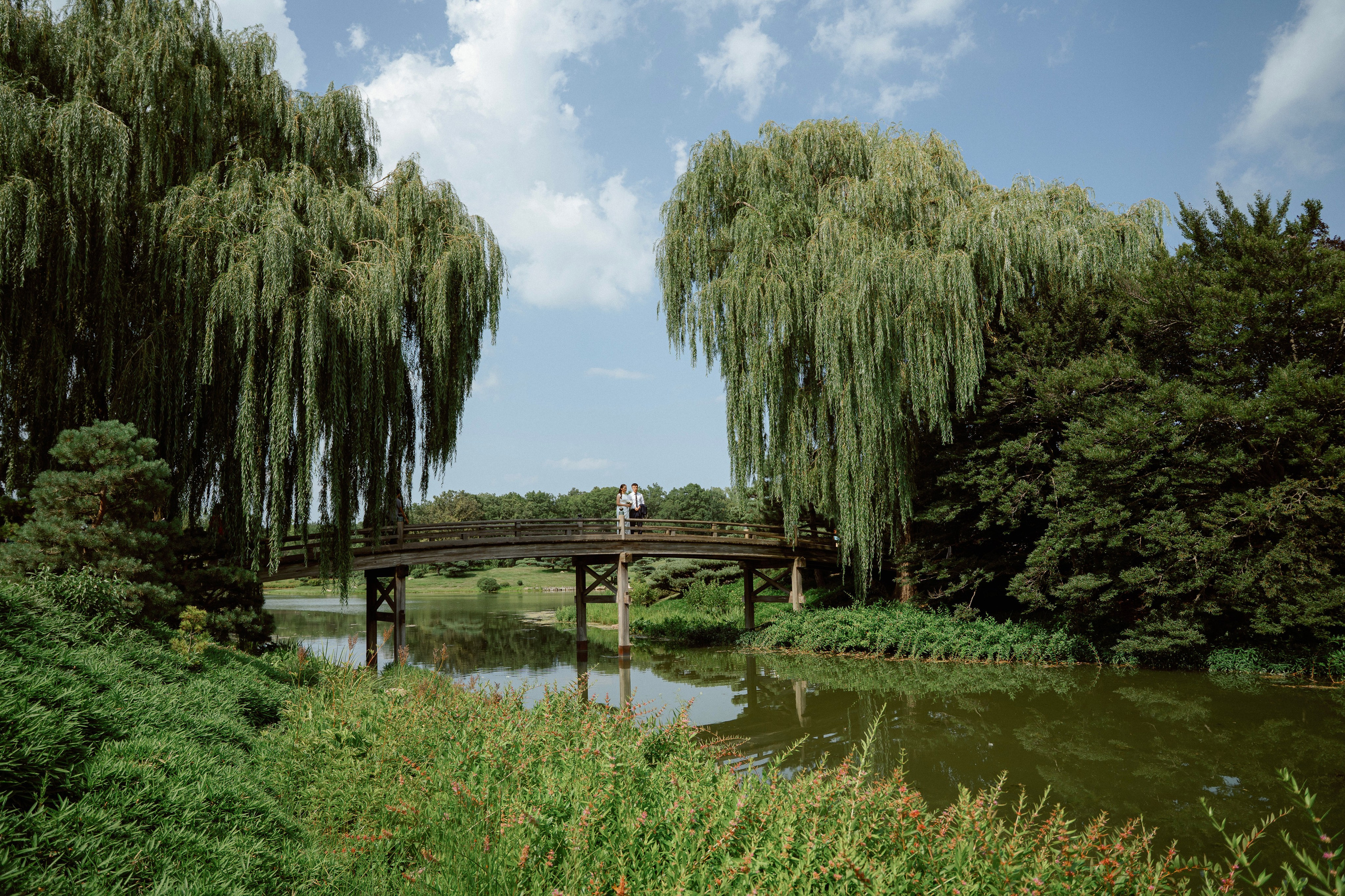 Wedding Photography | Chicago Botanic Garden & Downtown Chicago. Main