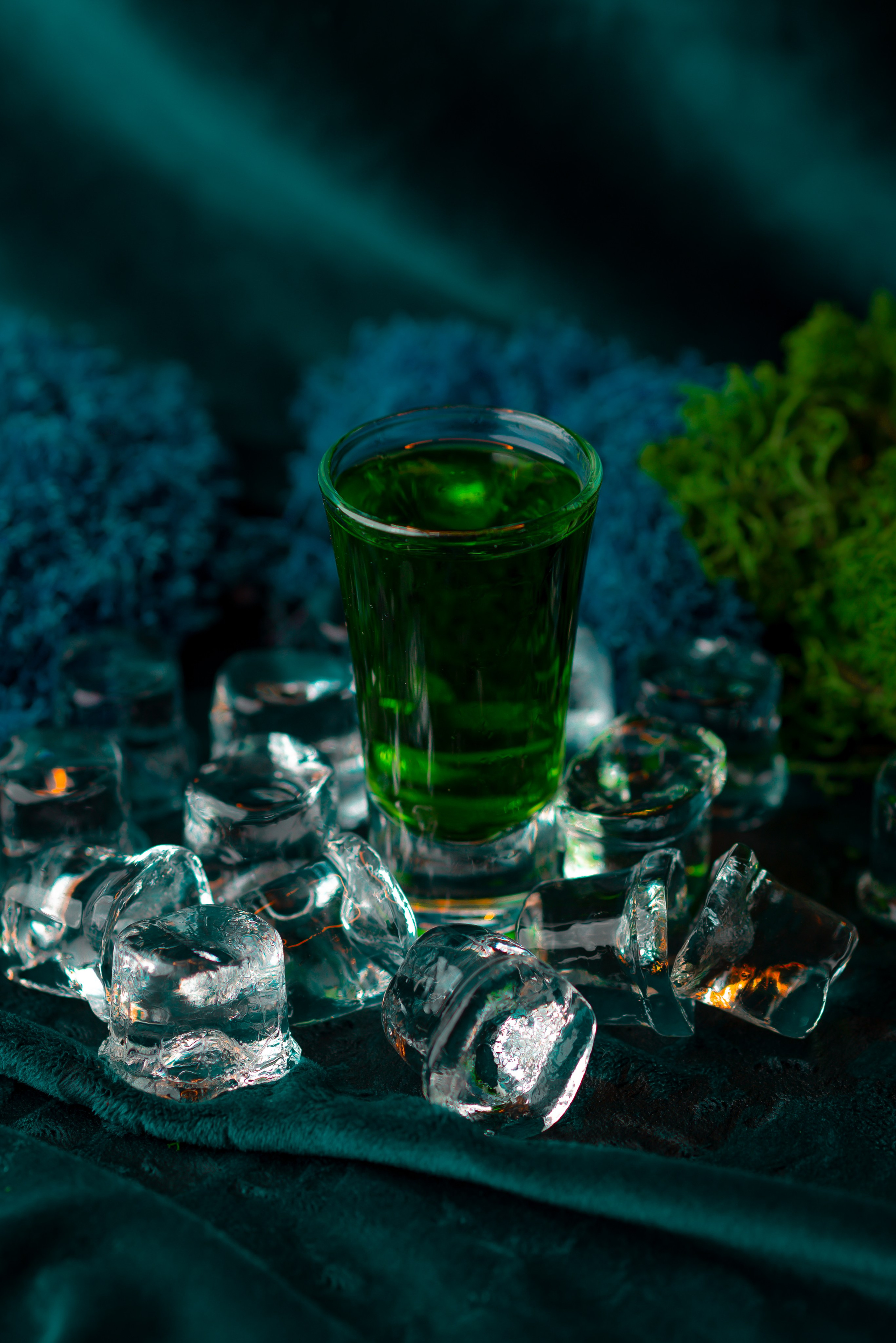 FOOD Photo. ST.PHOTO13