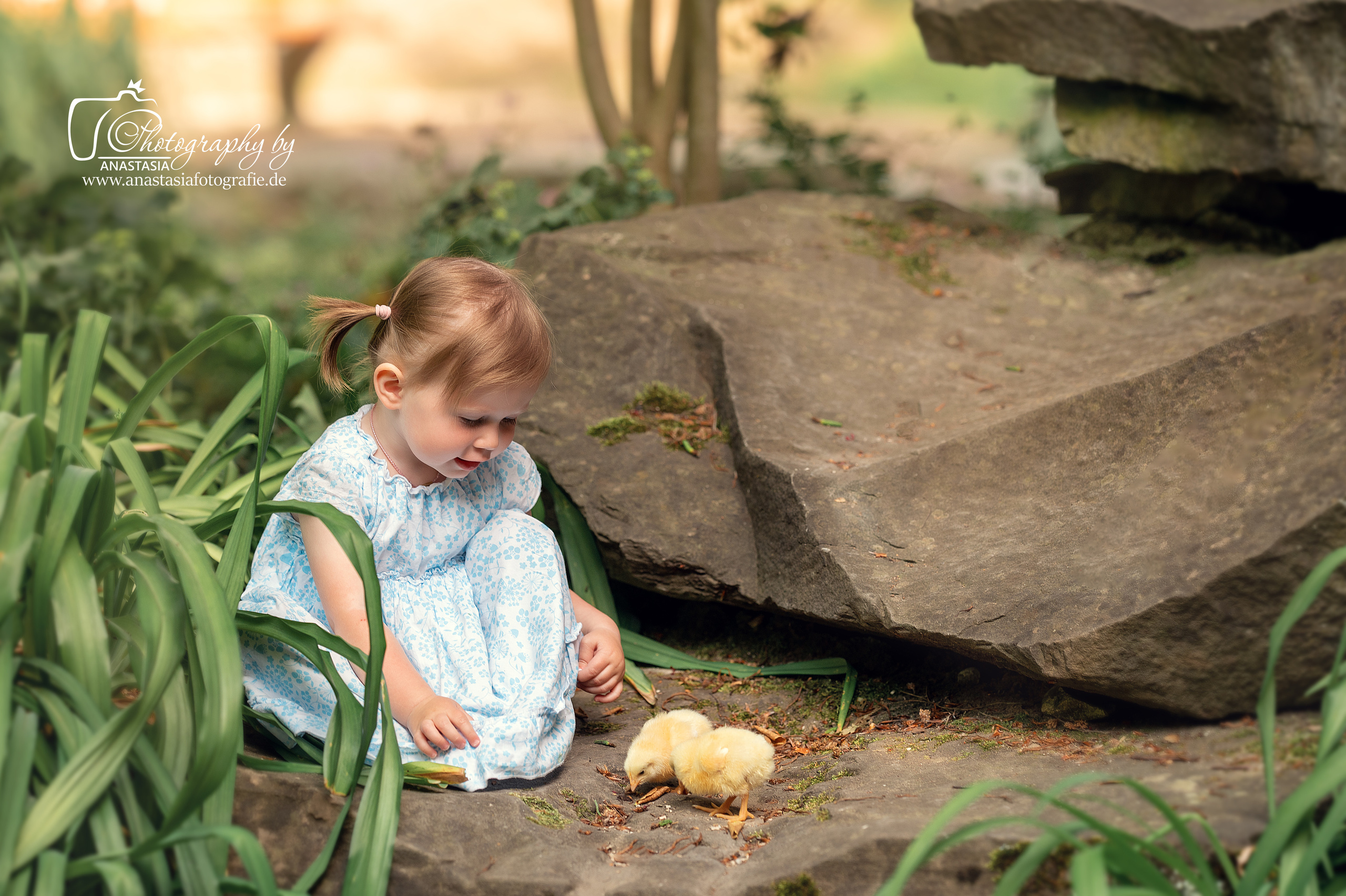 Küken und Kinder. Newbornfotograf Kinderfotograf Ulm Familienfotograf Anastasia Neu-Ulm