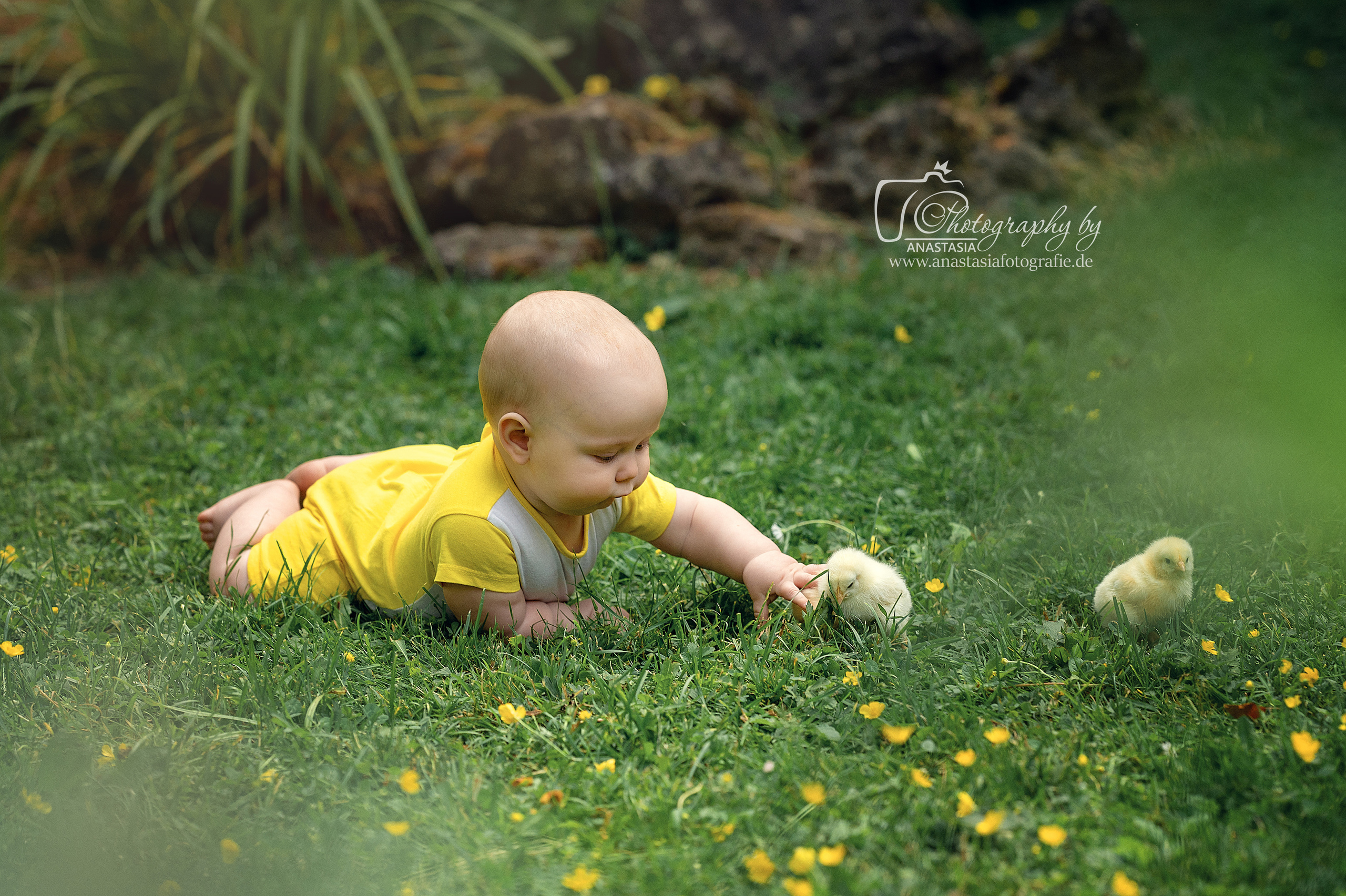 Küken und Kinder. Newbornfotograf Kinderfotograf Ulm Familienfotograf Anastasia Neu-Ulm