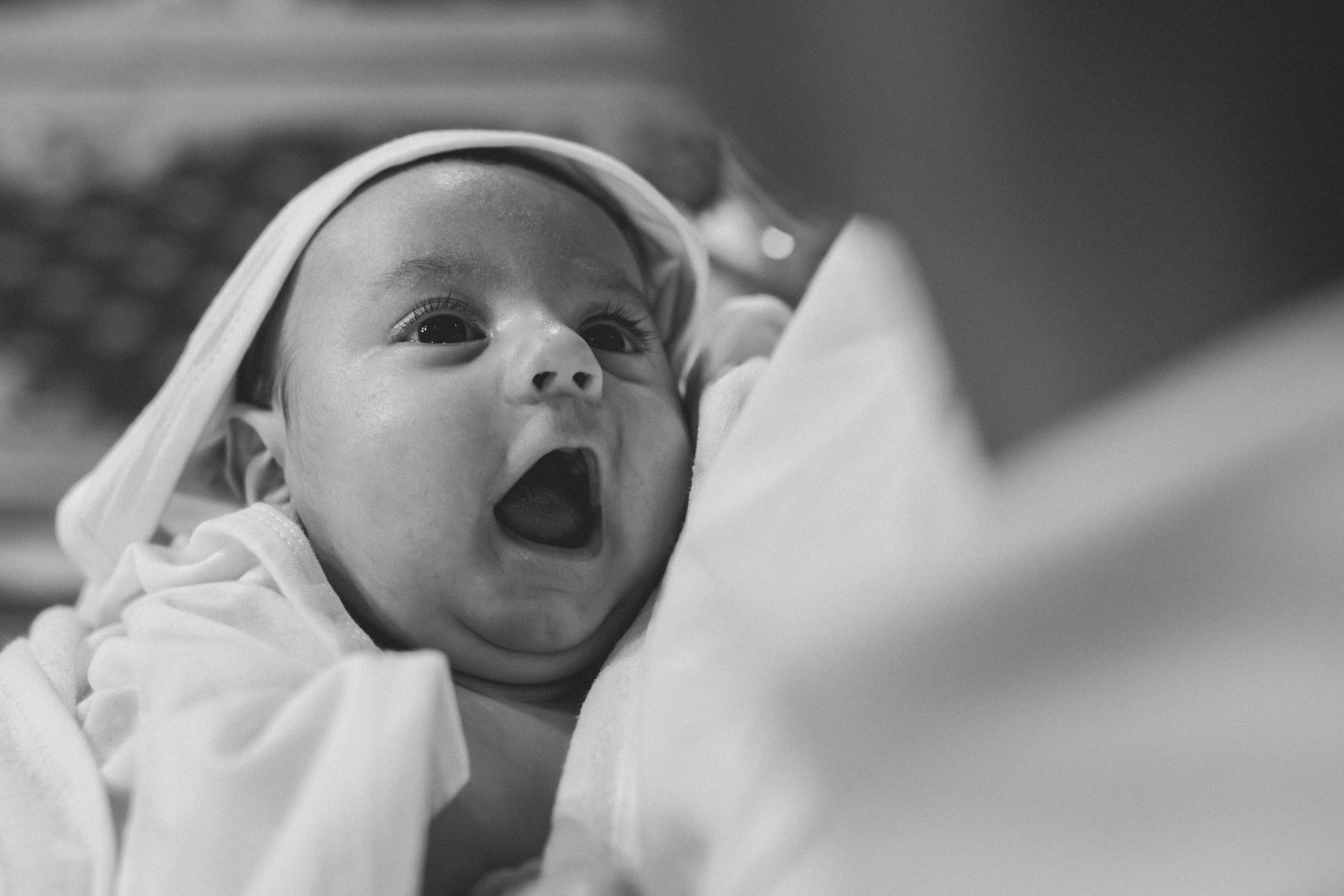 Bogdan Constantin. Catalin Brinza