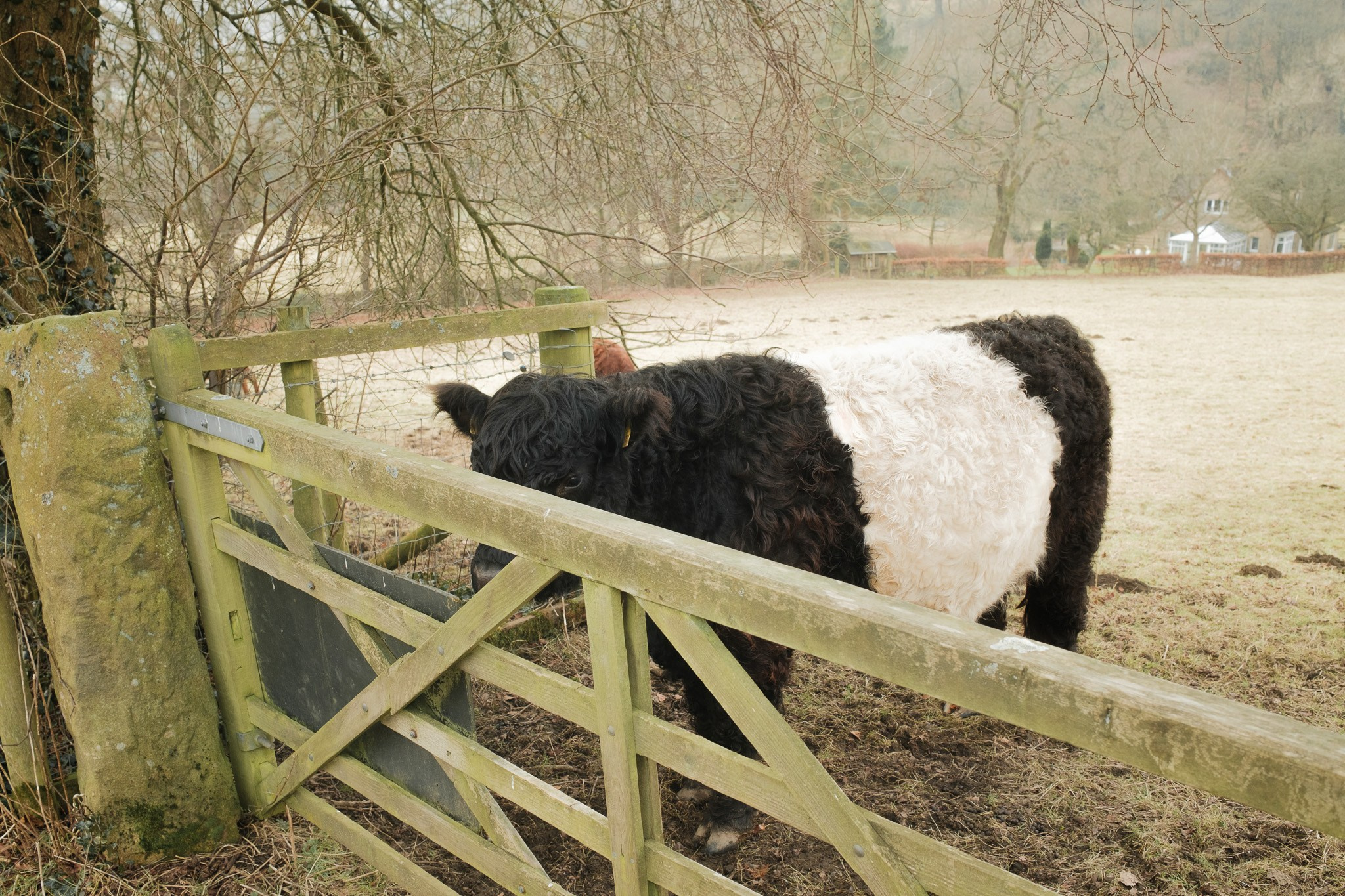 Peak District 2024. Cal Takes Photos