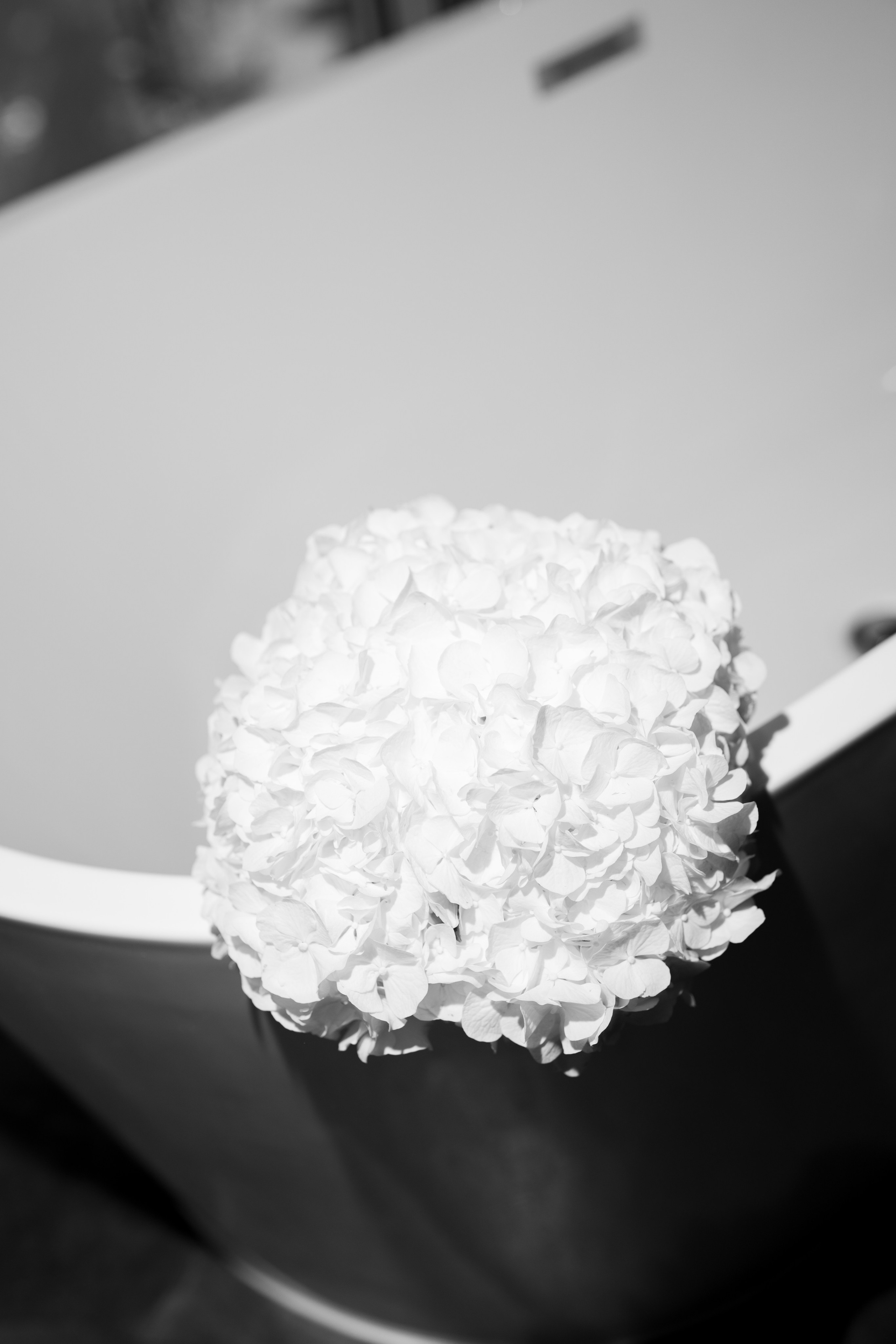 Milica & Ivan. Si Studio Wedding