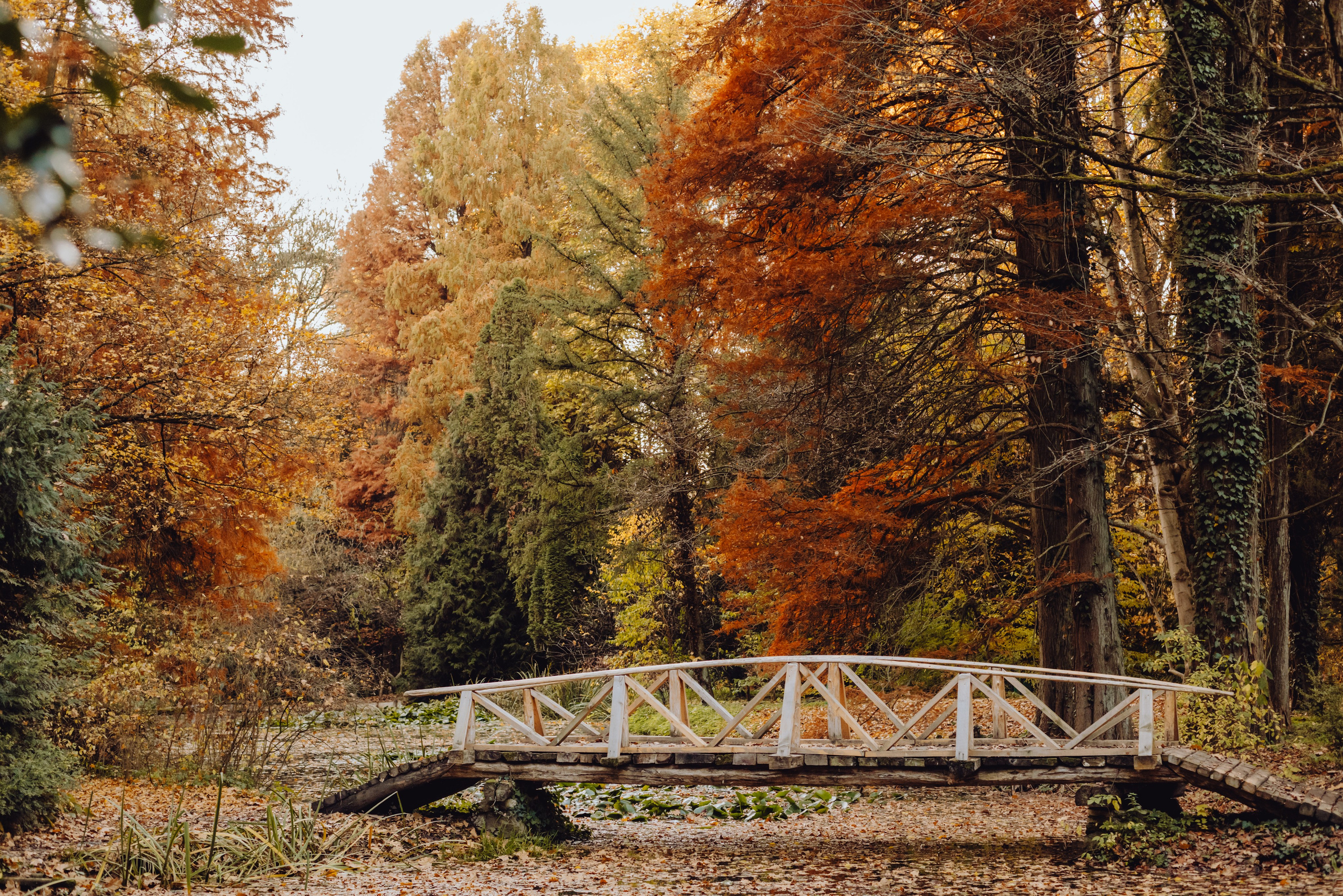 Bisma. Wedding & couple photographer from Romania Rut Vetan