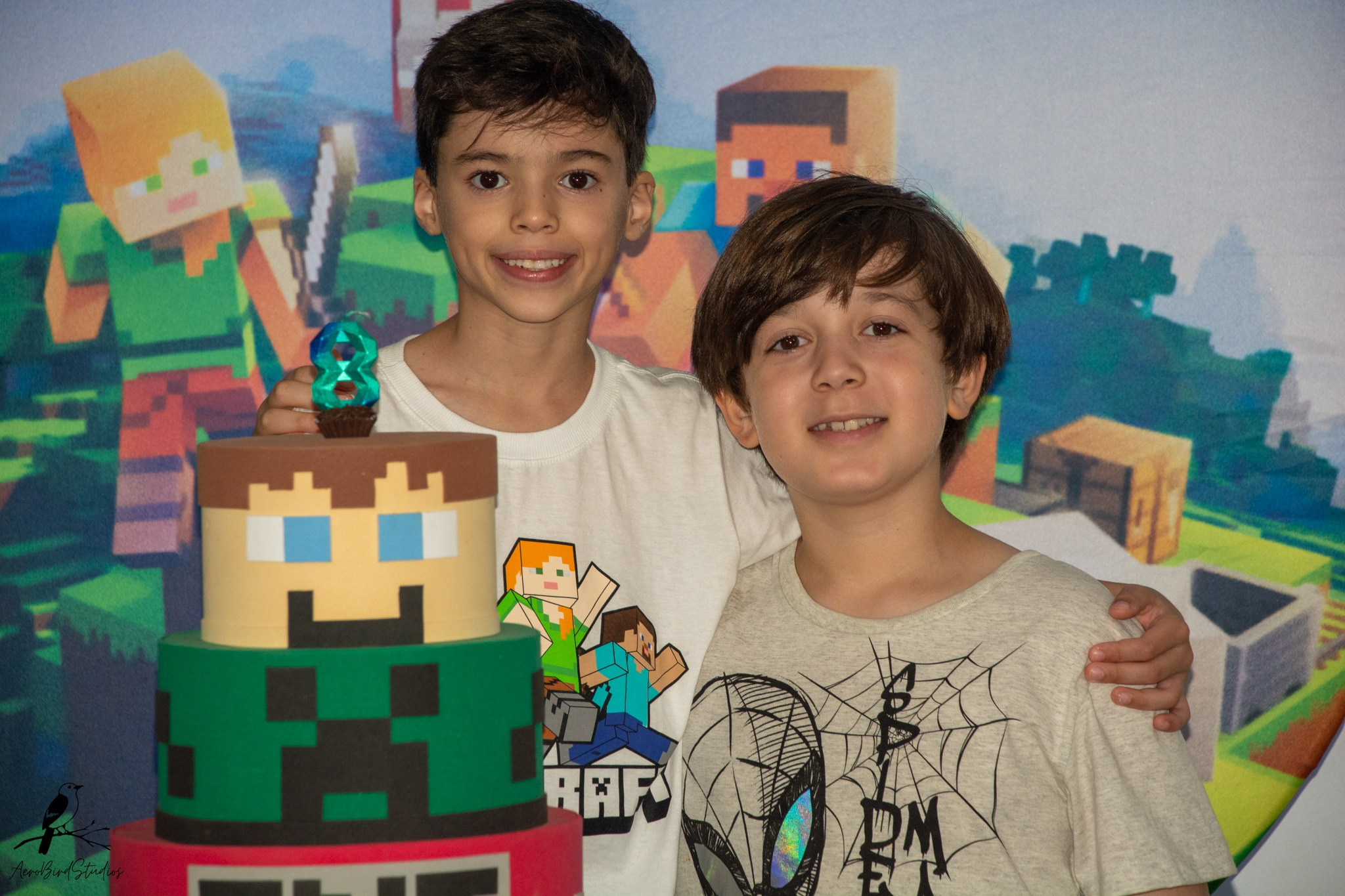 Leonardo 8 ano. AerobirdStudios
