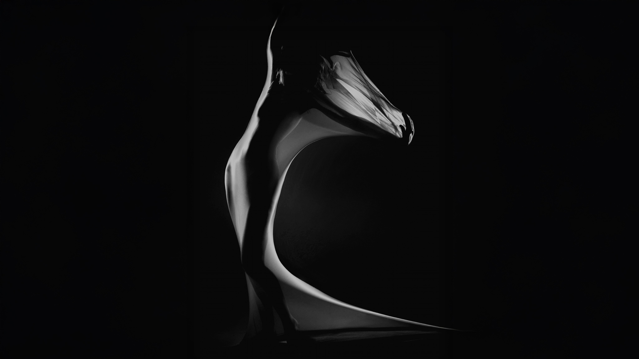 Fashion photographer in Paris