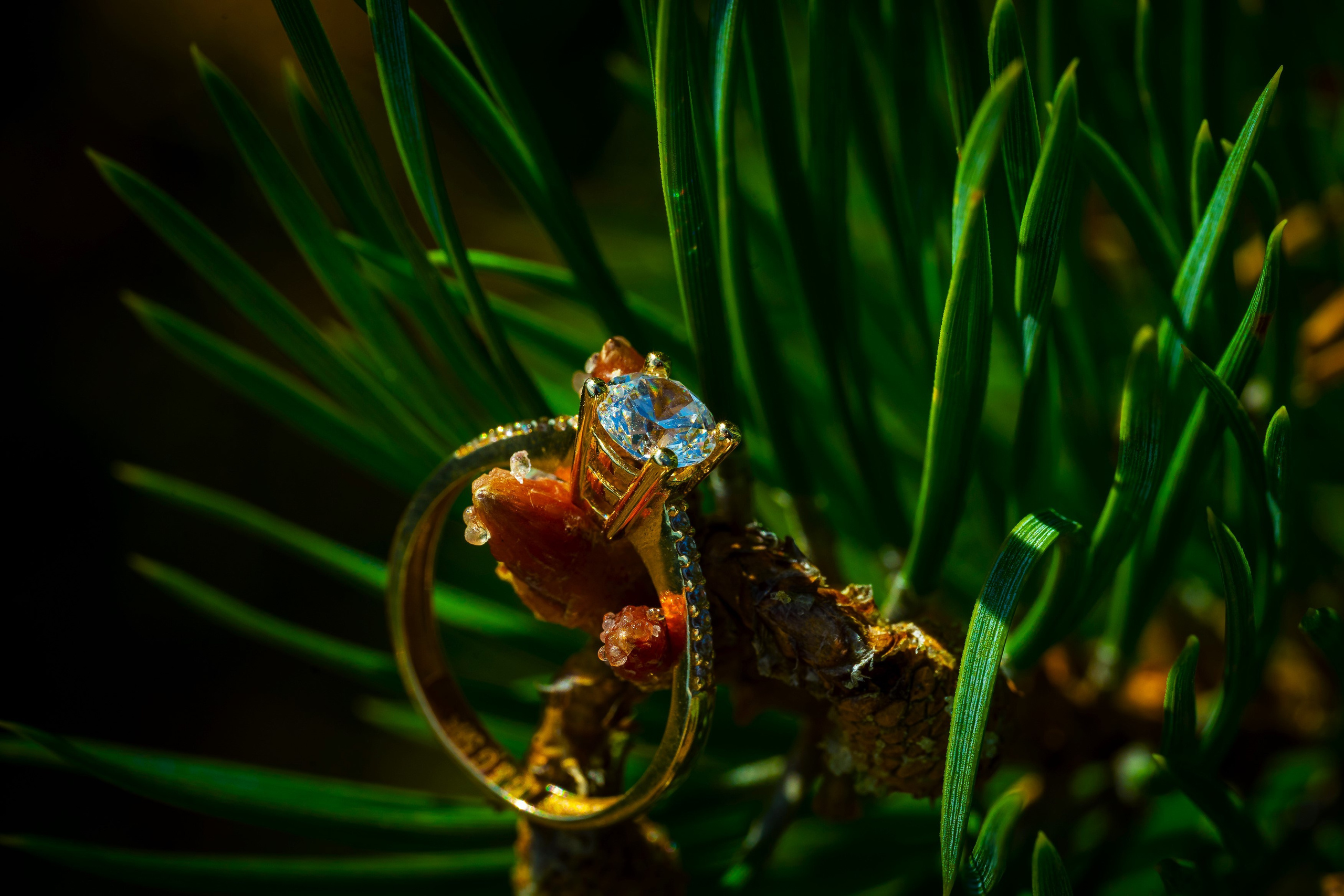 Roxana & Bogdan — Wedding. Marius Doban