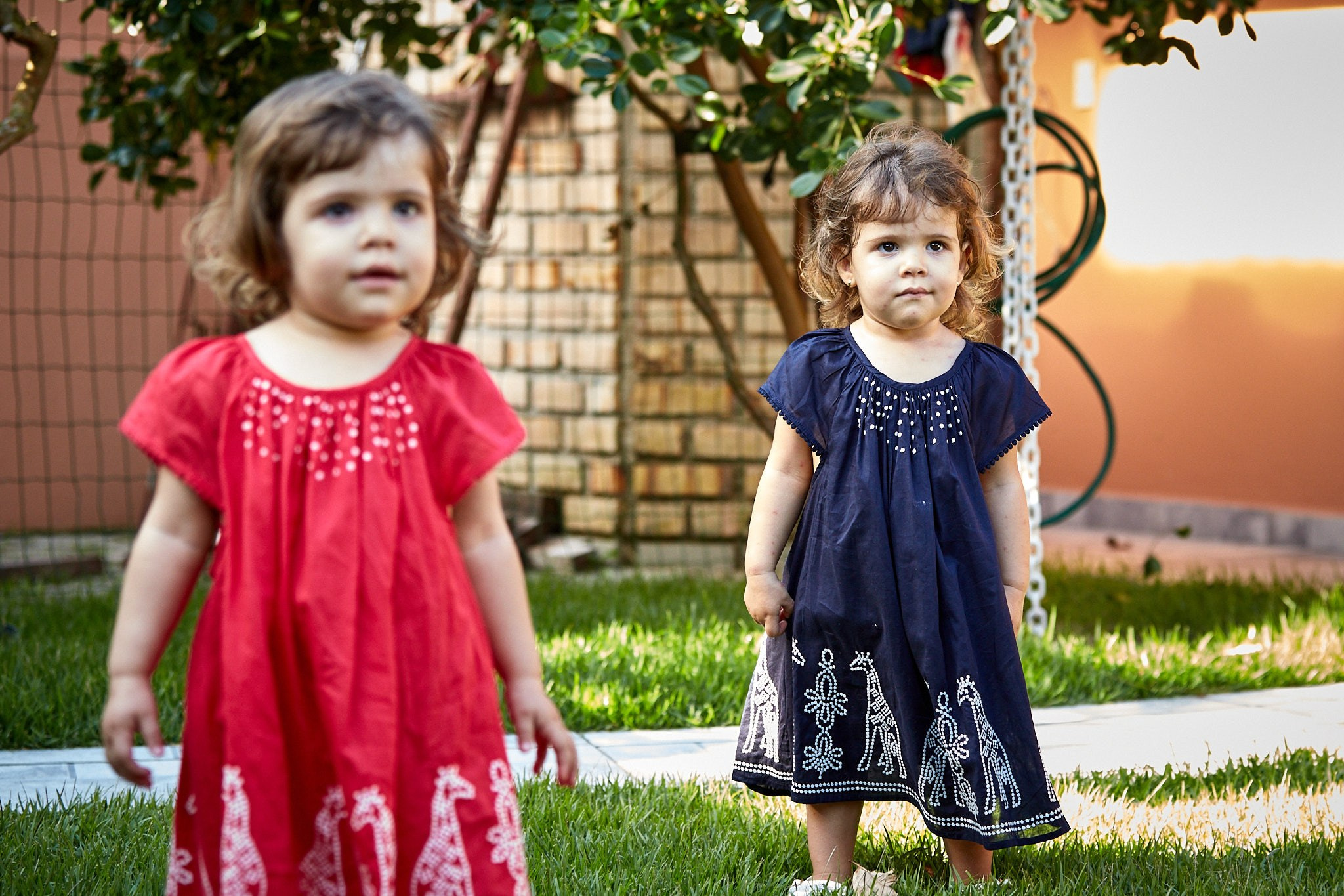 Ensaio Viviane, Sophia, Sara e Gabriel. Fotógrafo de casamentos em Florianópolis