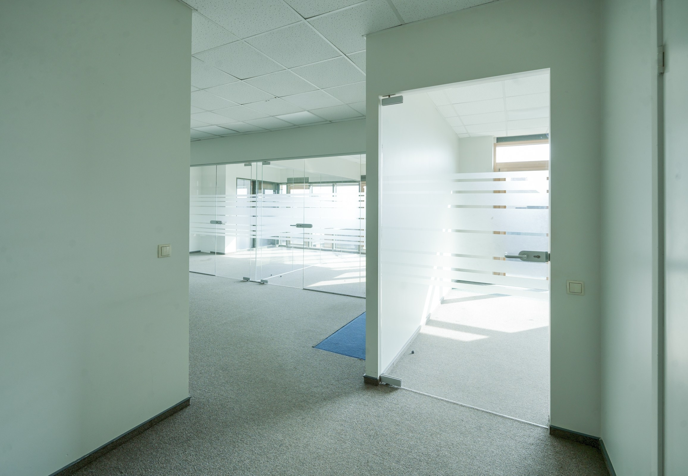 Olimpiečių 1. Elina Sapiega fotografė Vilniuje