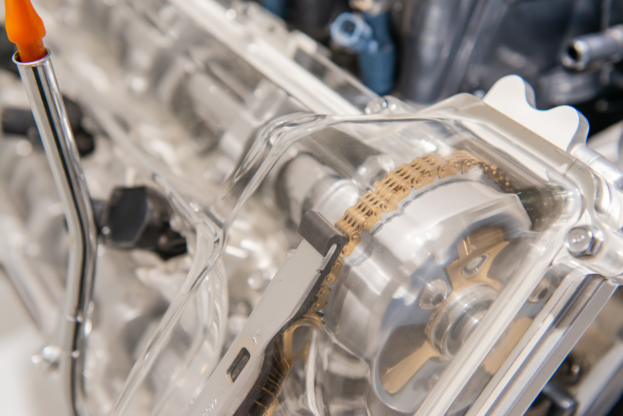 Reportage shooting. PHOTOGRAPHER QUINTANA ROO