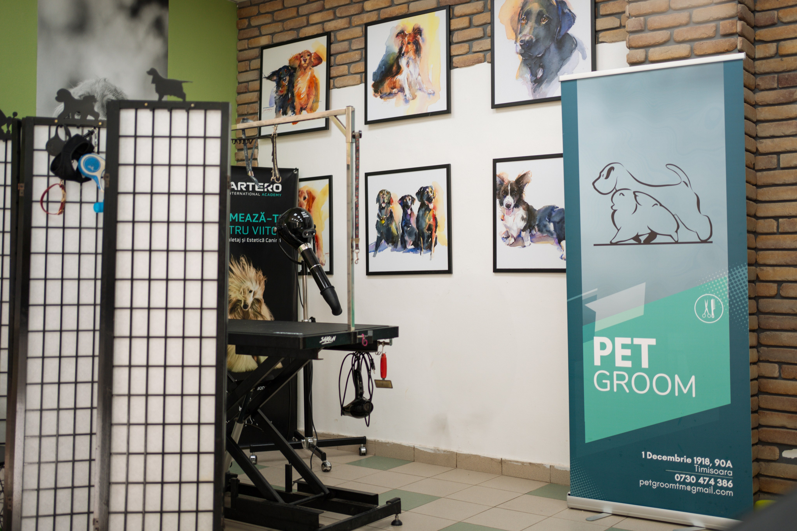 PetGroom Timisoara. Cozac Cristian Photographer